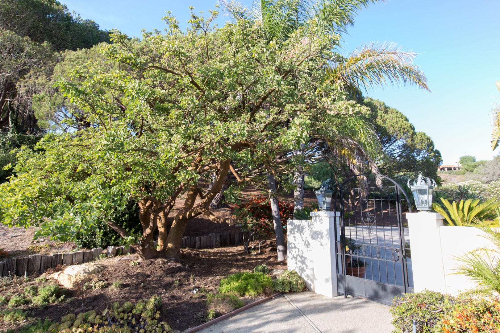 801 Sea Ranch Drive