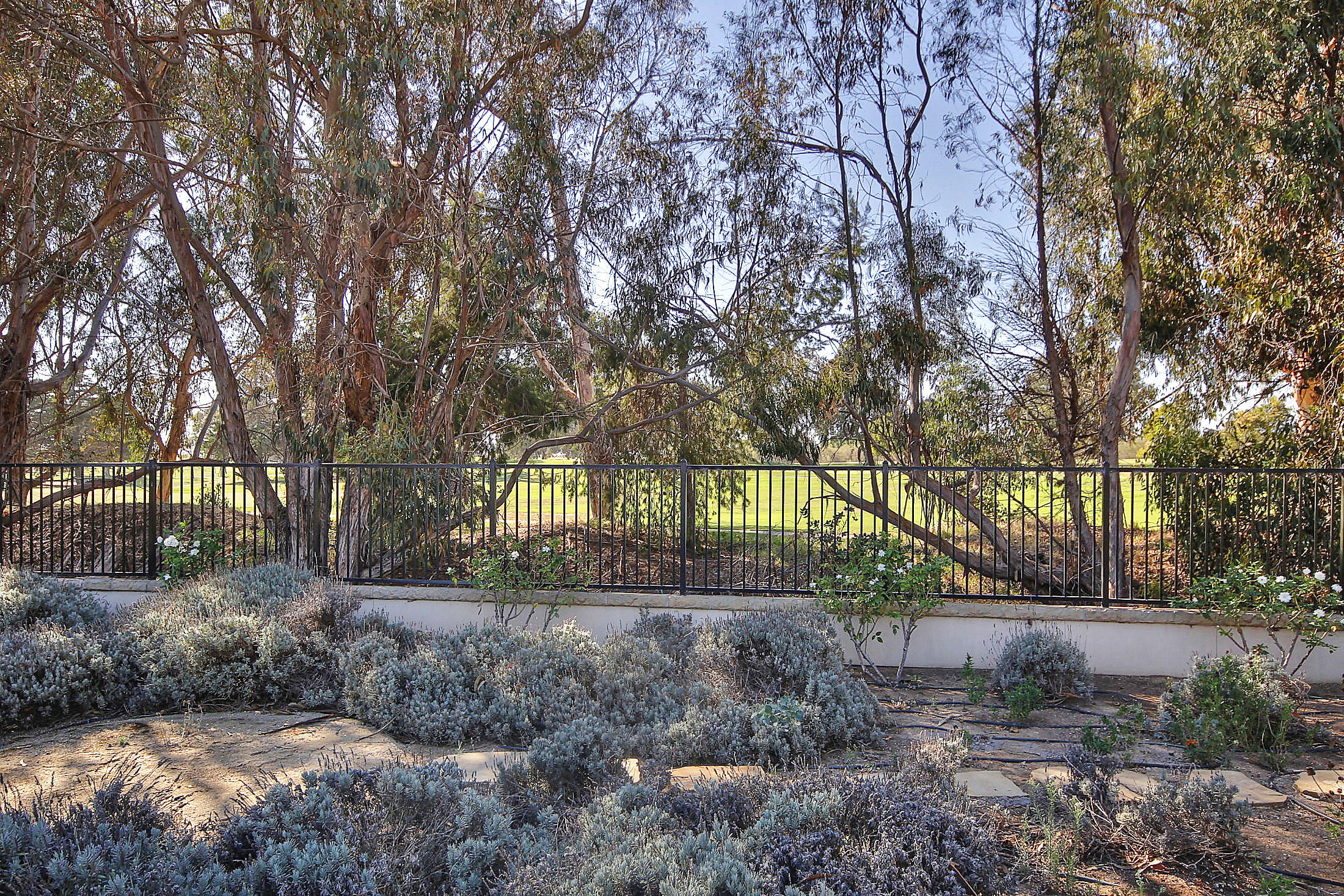 7797 Goldfield Court