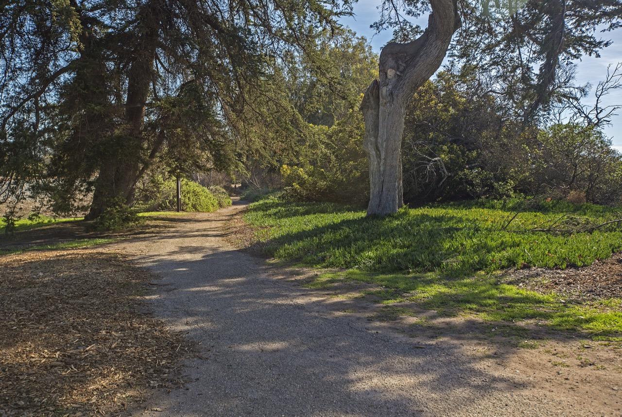 5647 Canalino Drive