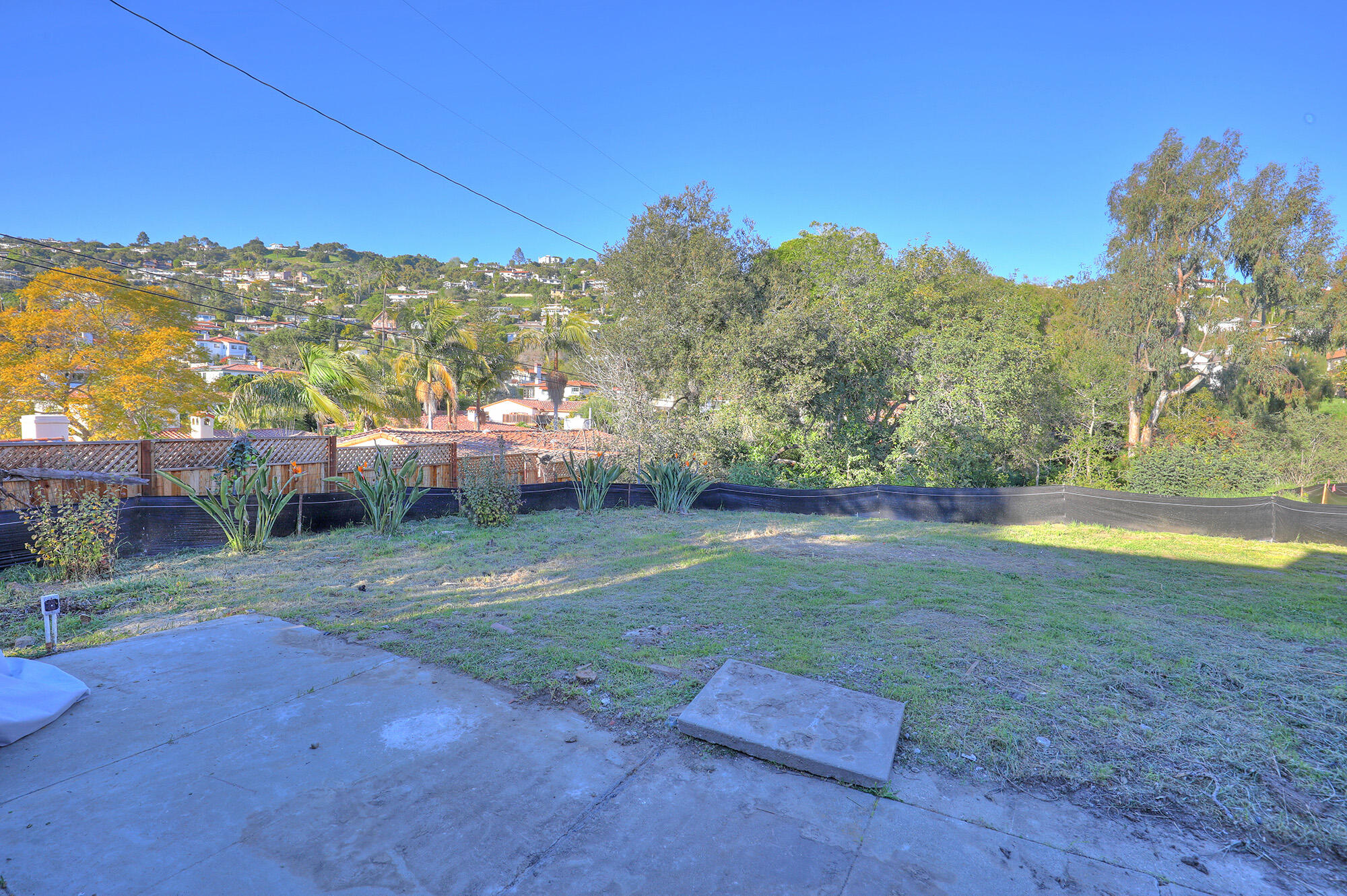 1165 E. Cota St.
