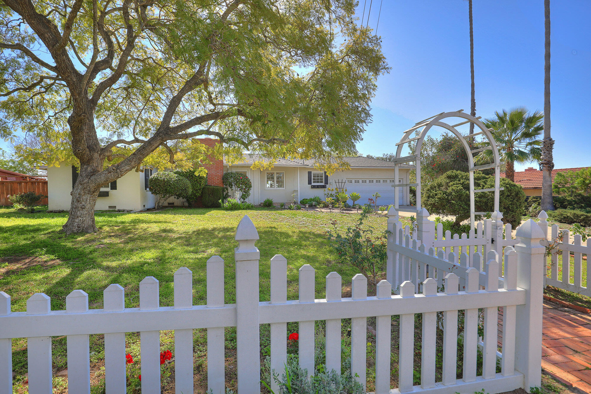 50 Saint Francis Way