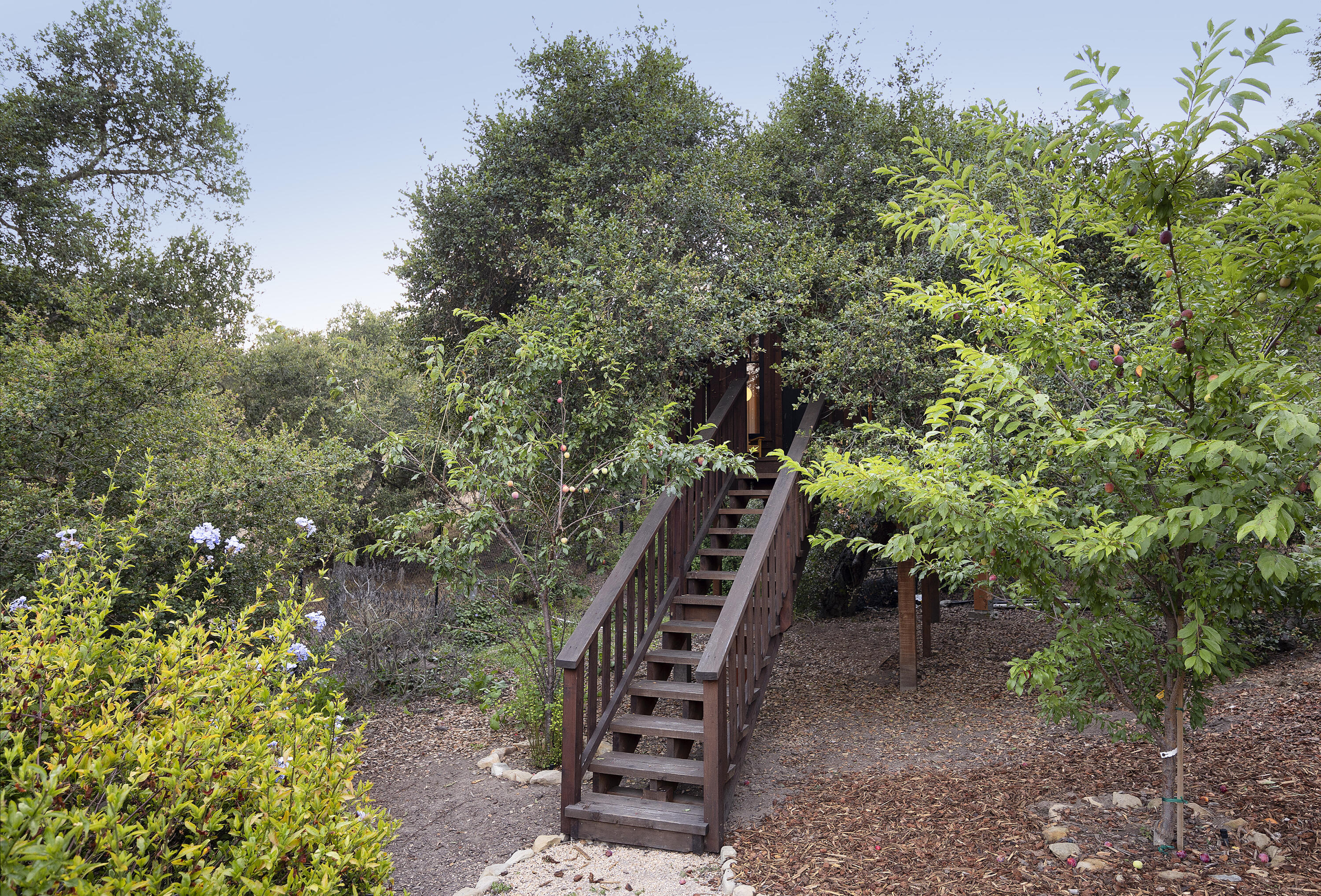 925 El Rancho Road