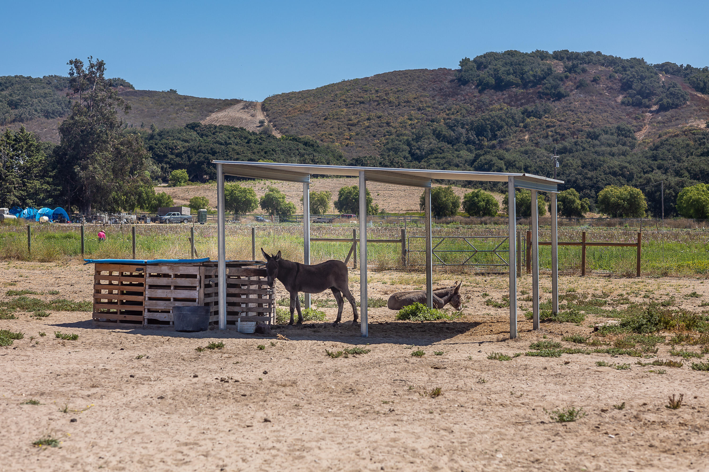 3269 Crucero Road