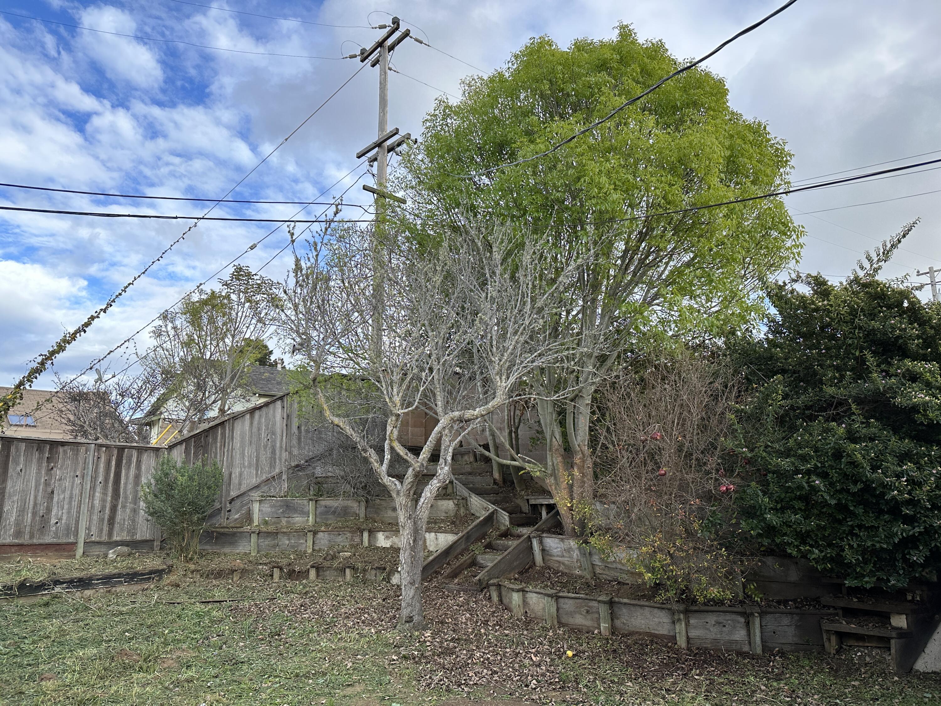 100 Princeton Place