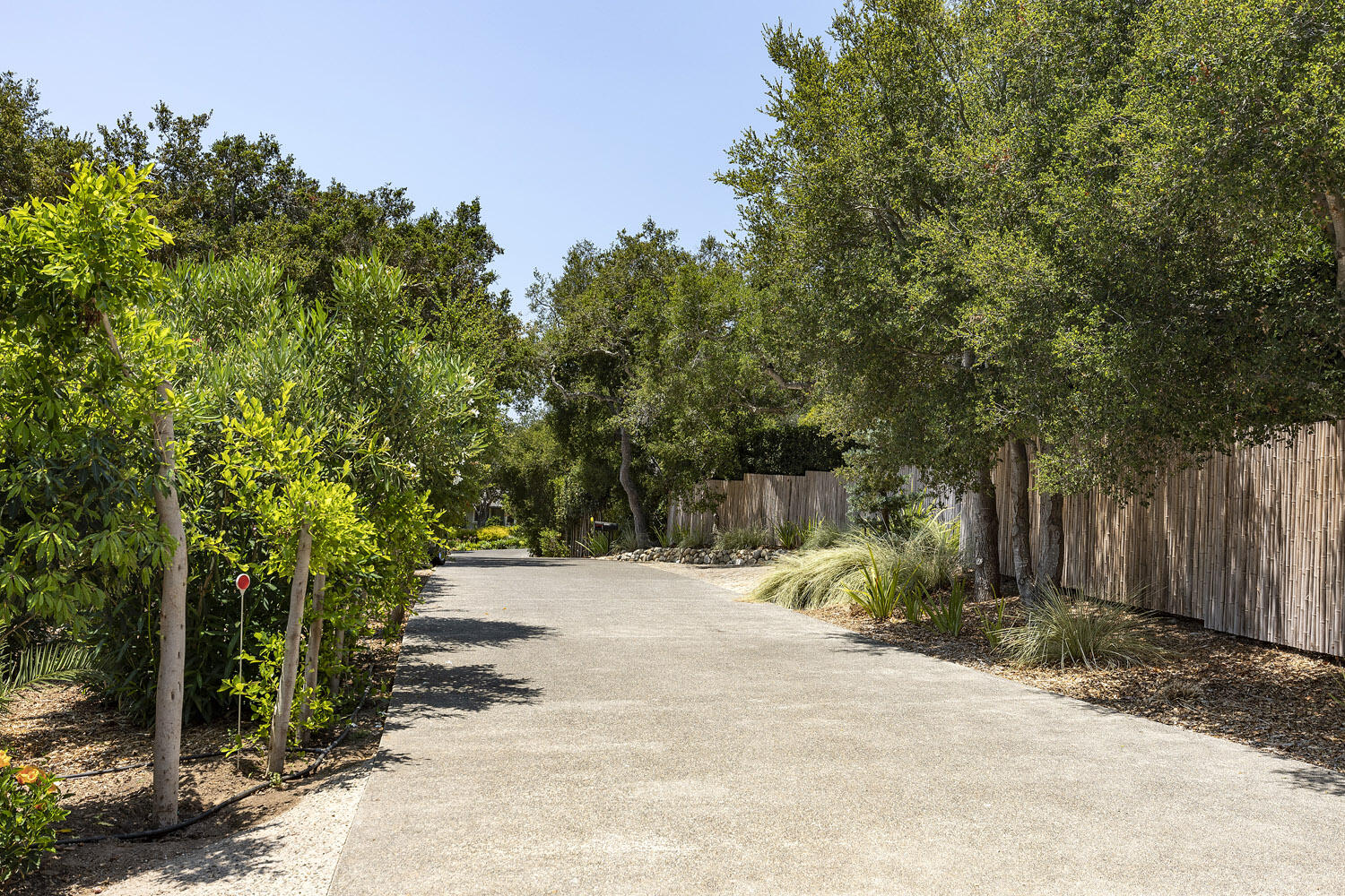 800 Oak Grove Drive