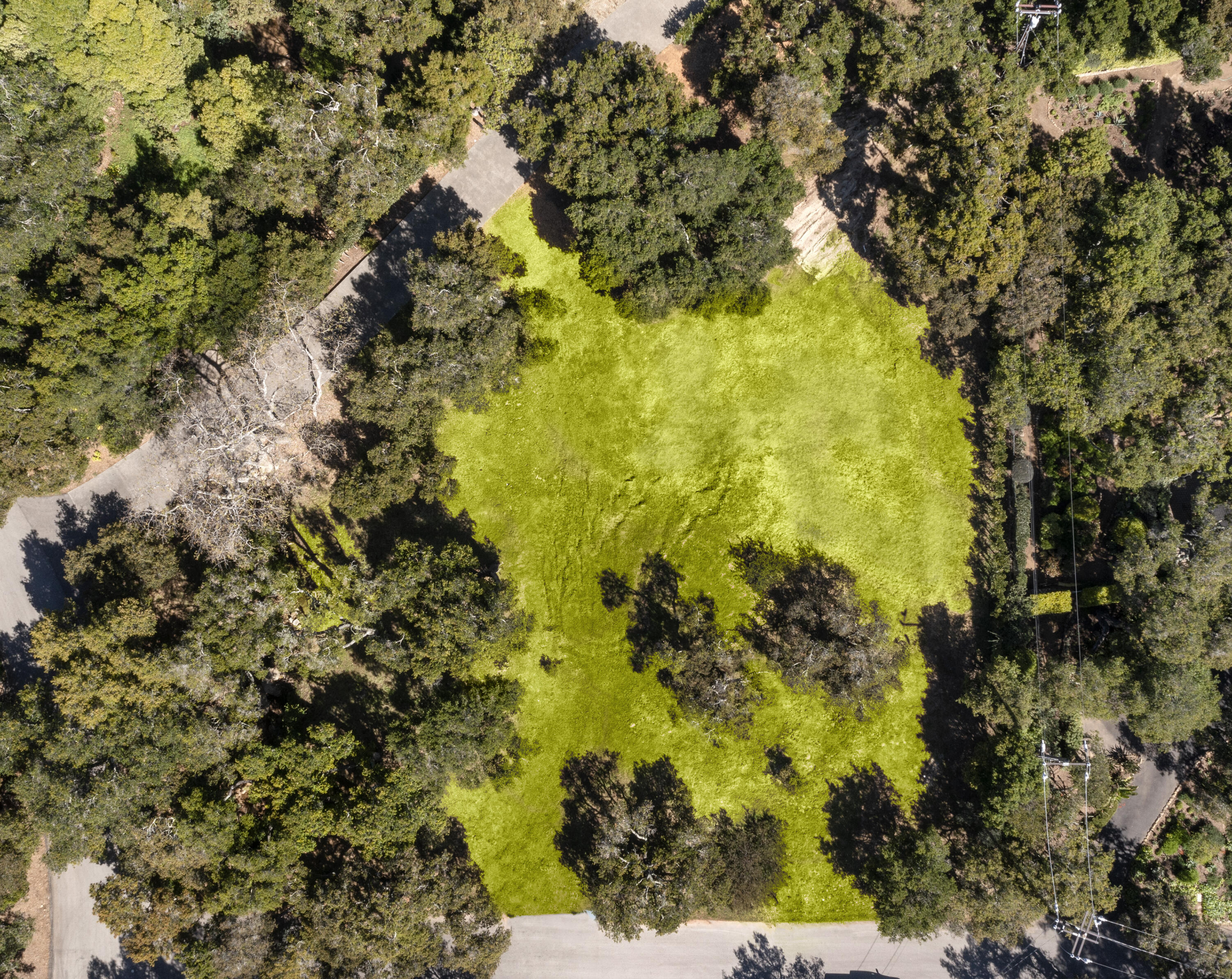 800 Oak Grove Drive