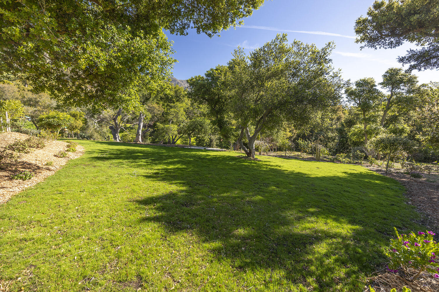 802 Oak Grove Drive