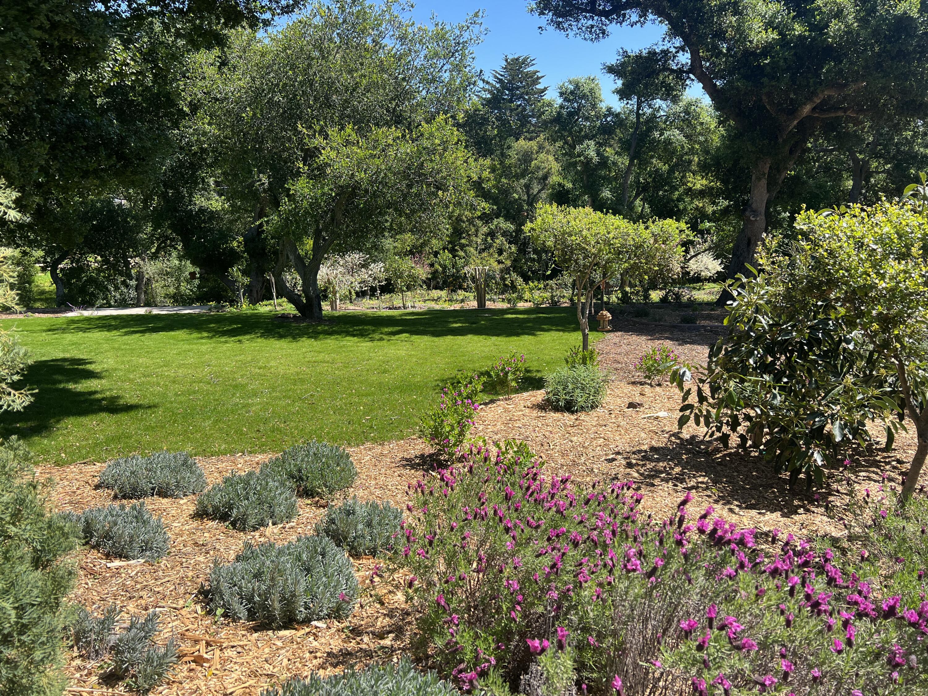 802 Oak Grove Drive