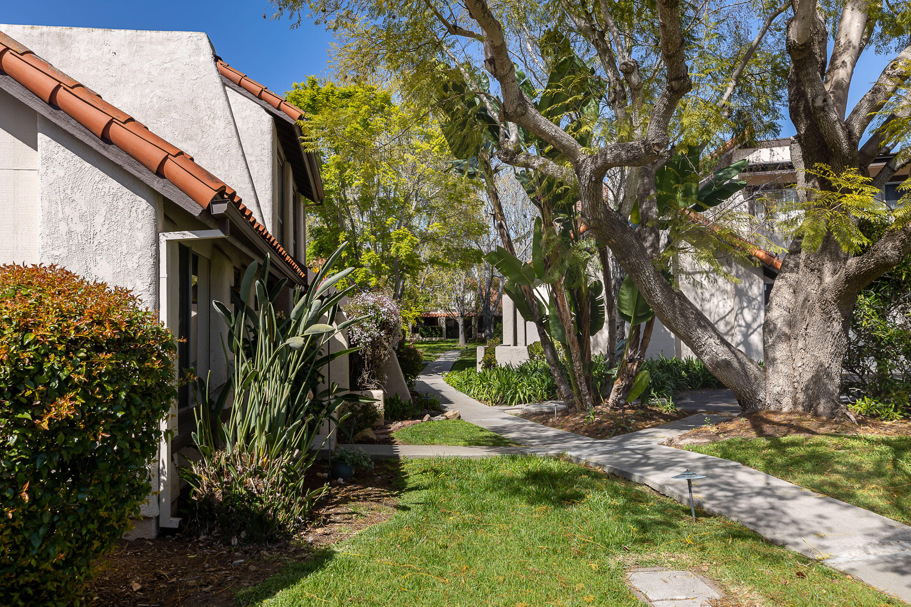 729 Calle De Los Amigos