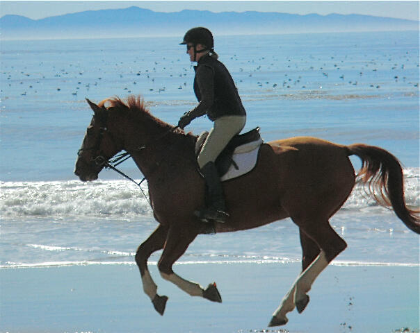 4517 Vieja Drive Drive