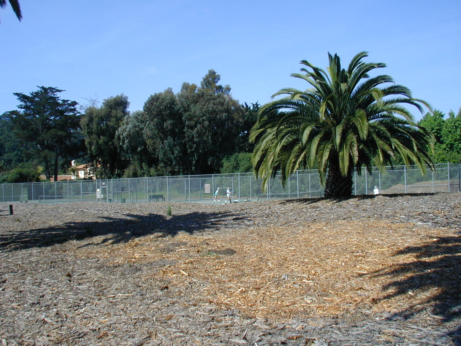 4517 Vieja Drive Drive