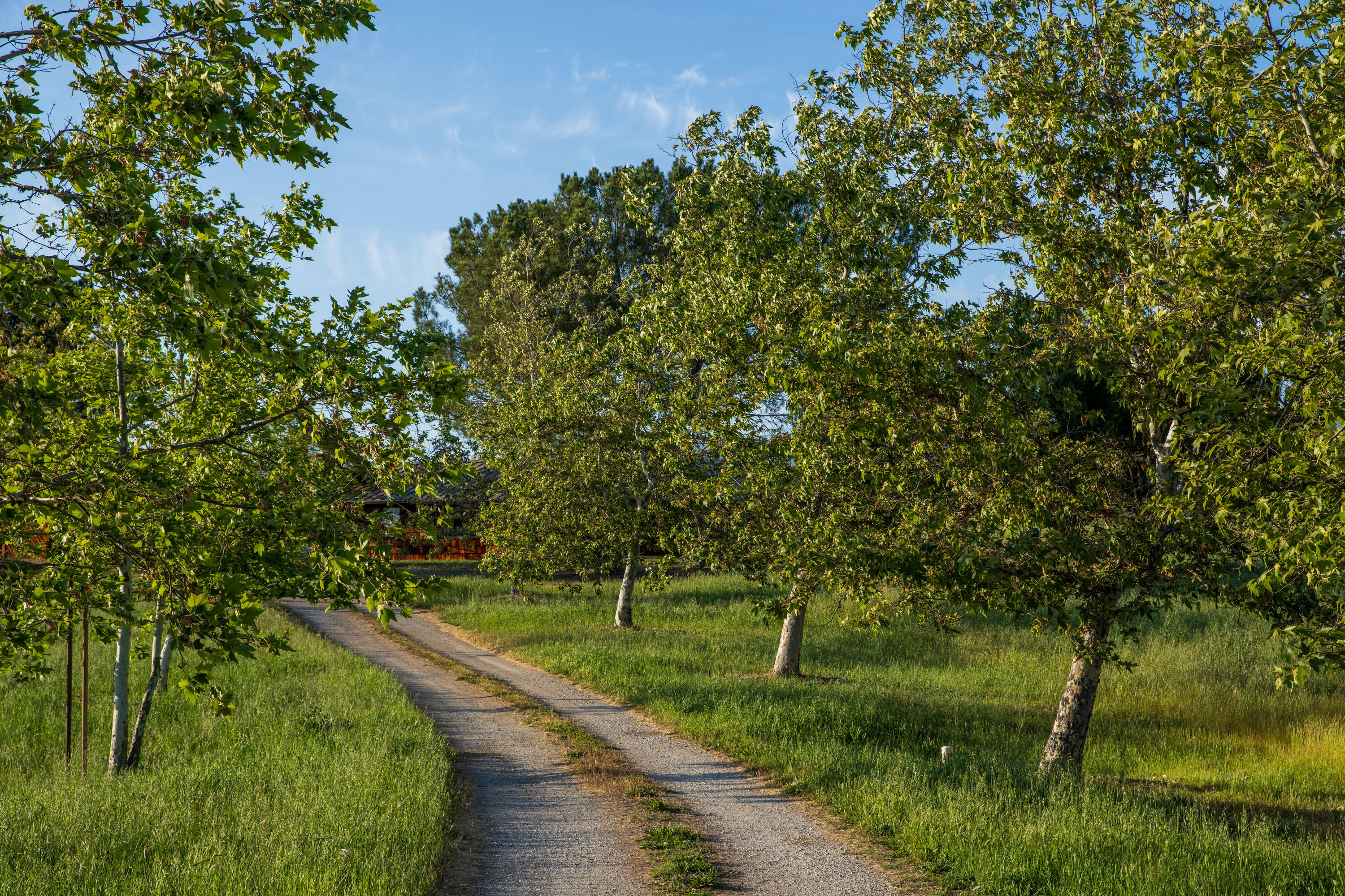 4825 Baseline Avenue