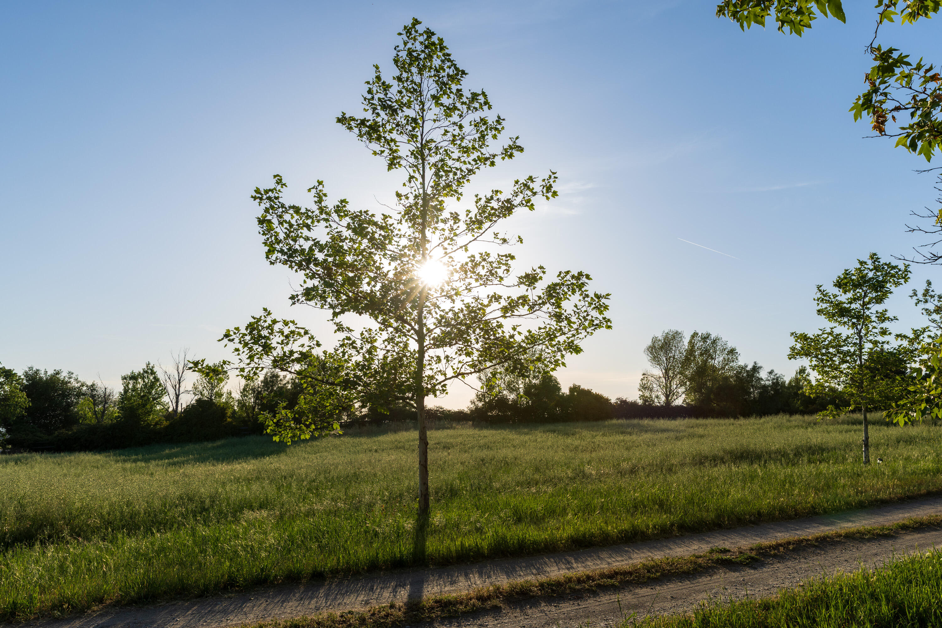 4825 Baseline Avenue