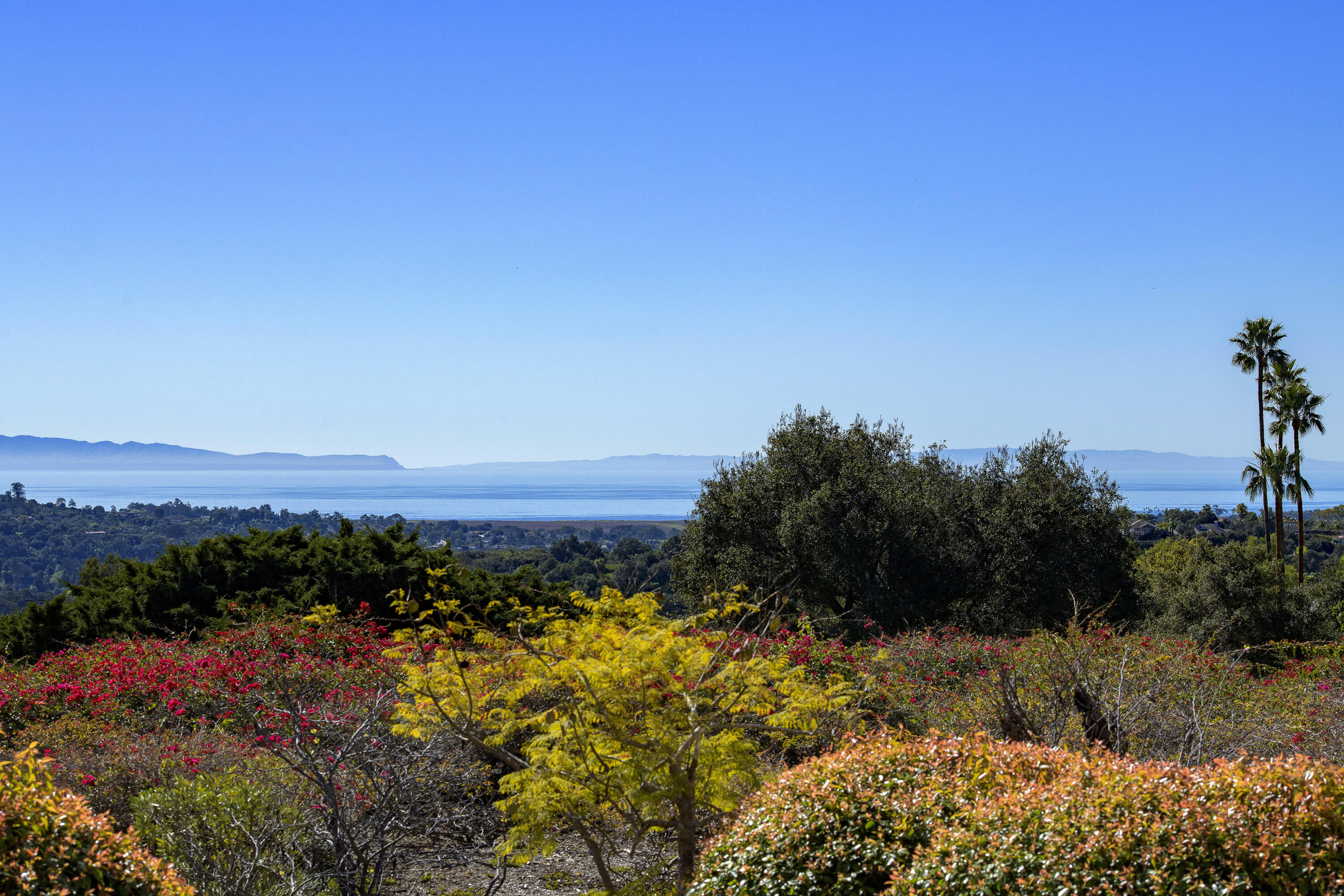 4477 Shadow Hills Boulevard, A