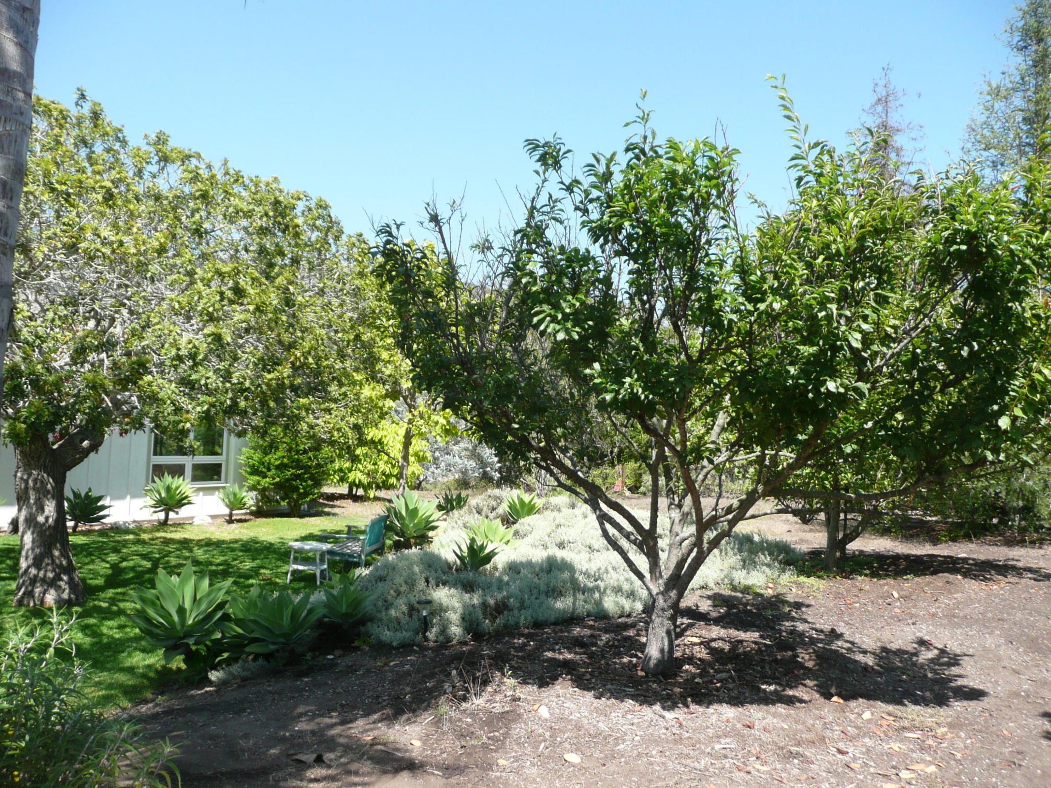 270 Toro Canyon Road