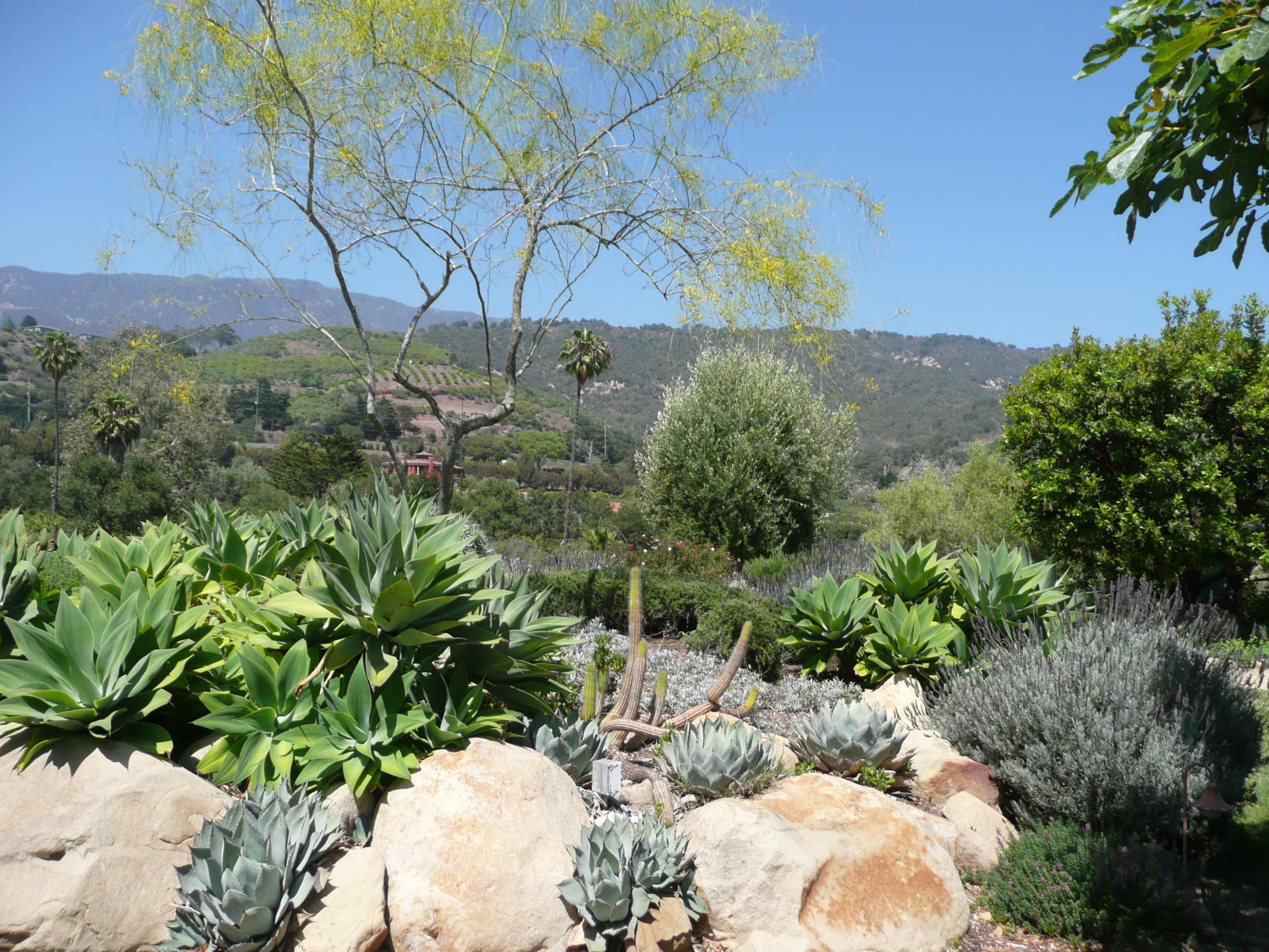 270 Toro Canyon Road