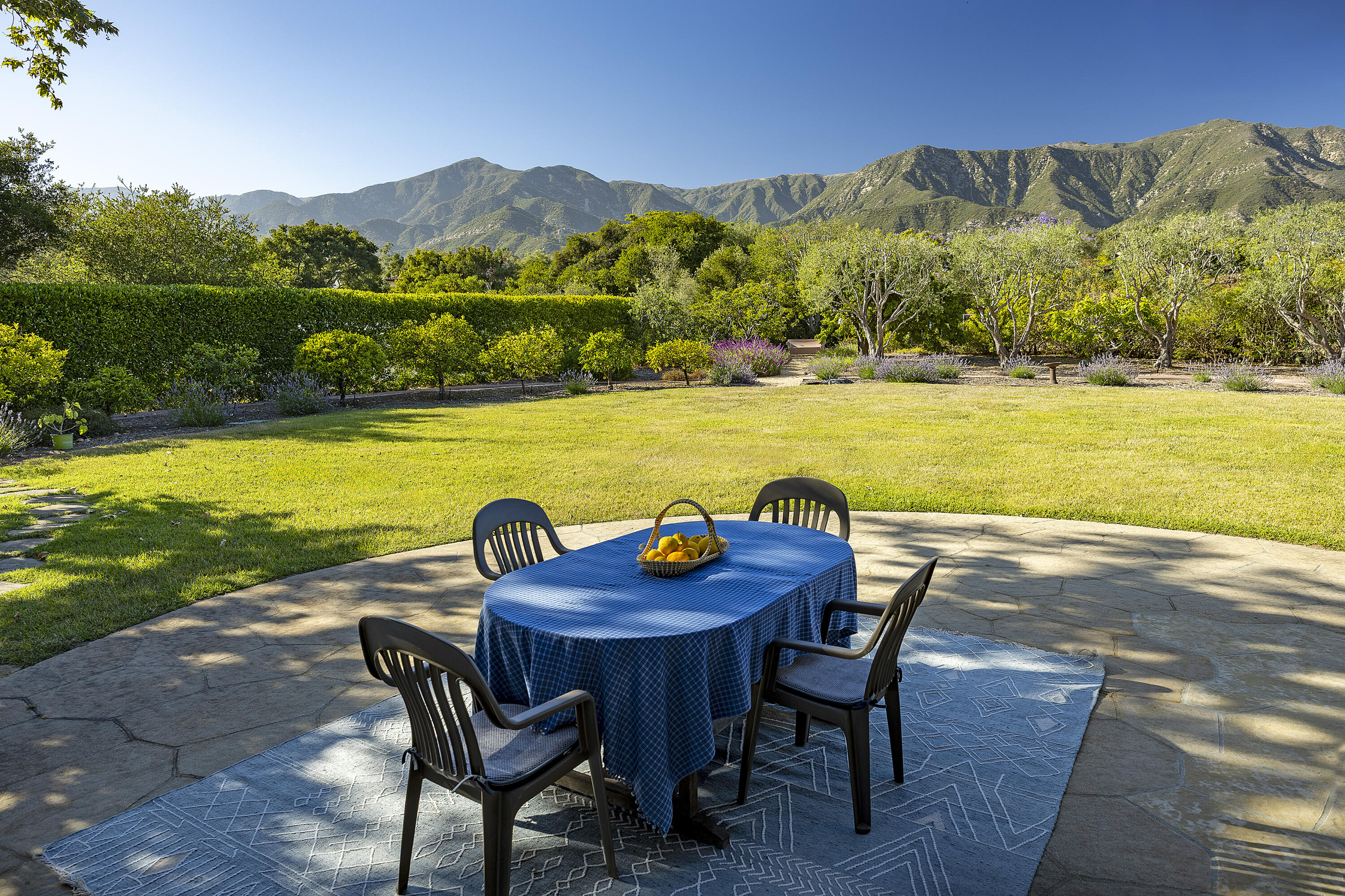 311 Meadowbrook Drive