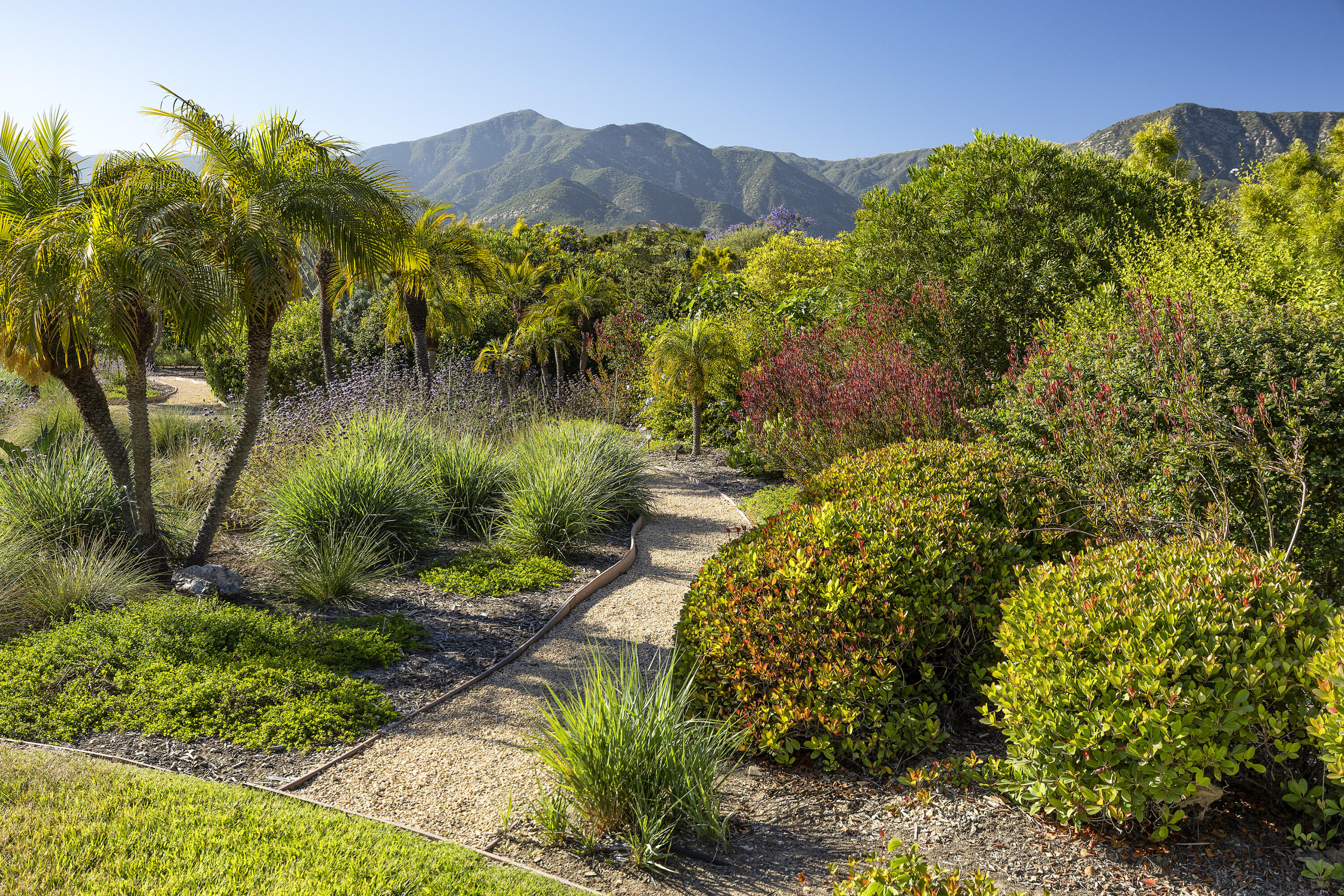 311 Meadowbrook Drive