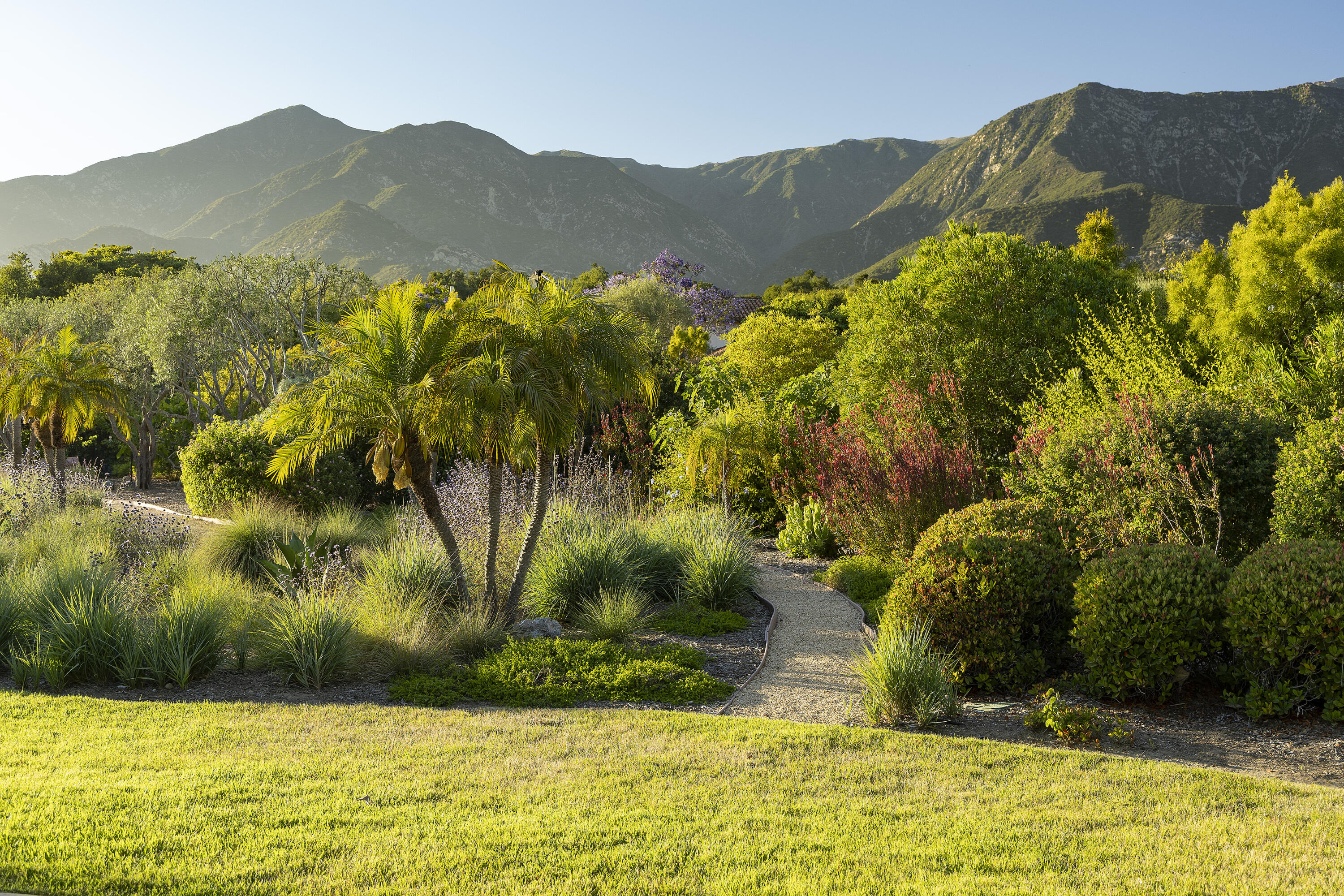 311 Meadowbrook Drive