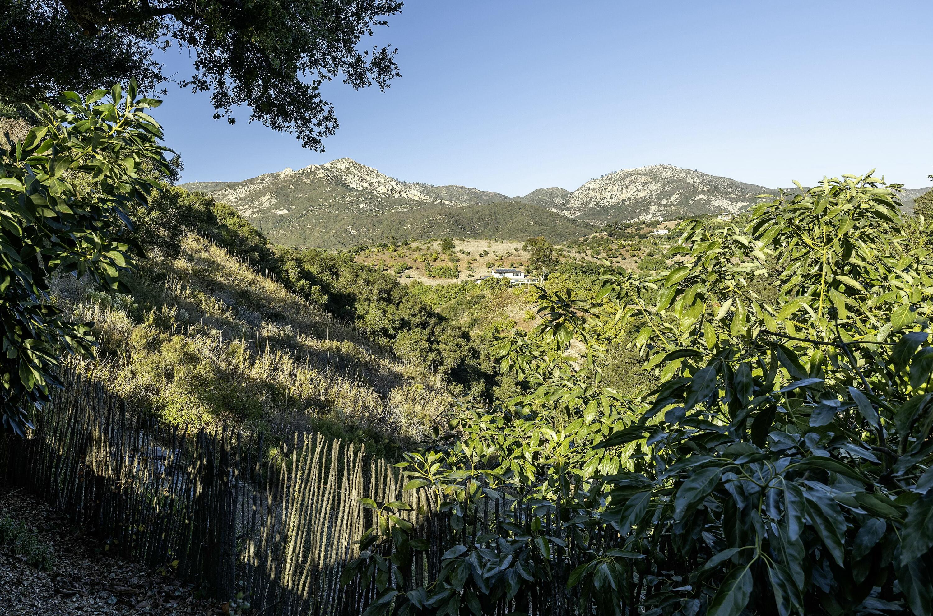 702 E Calle Laureles