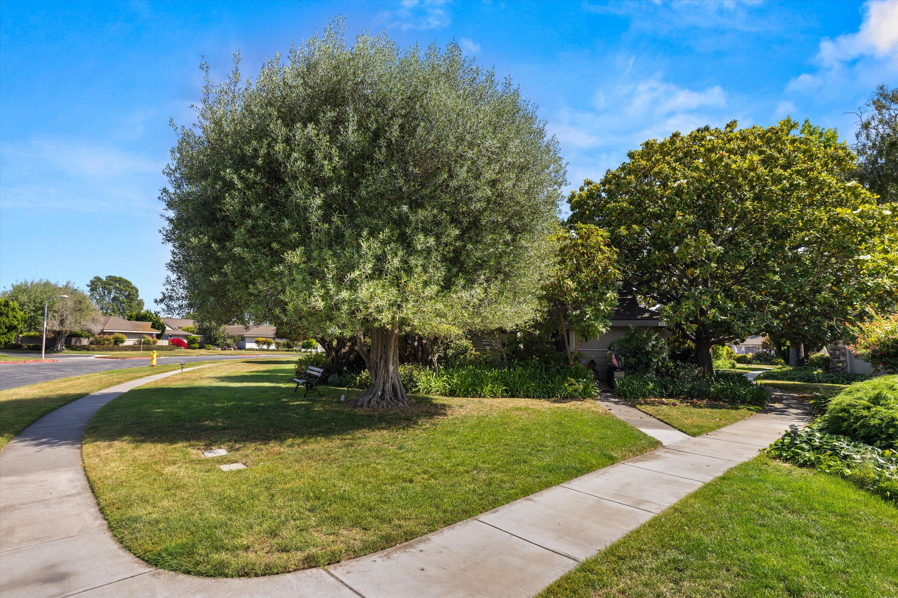 330 Moreton Bay Lane, 2