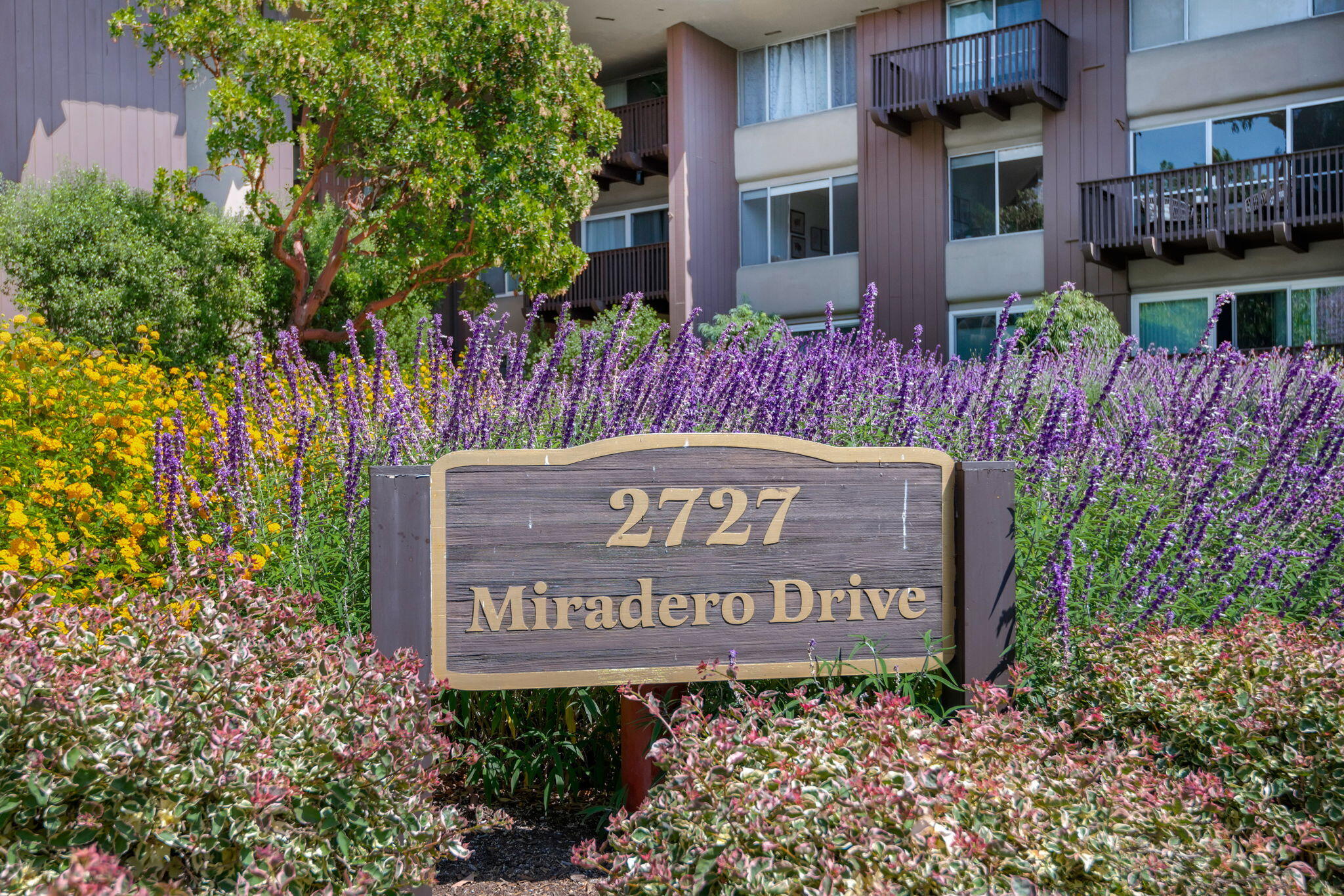 2727 Miradero Drive #302