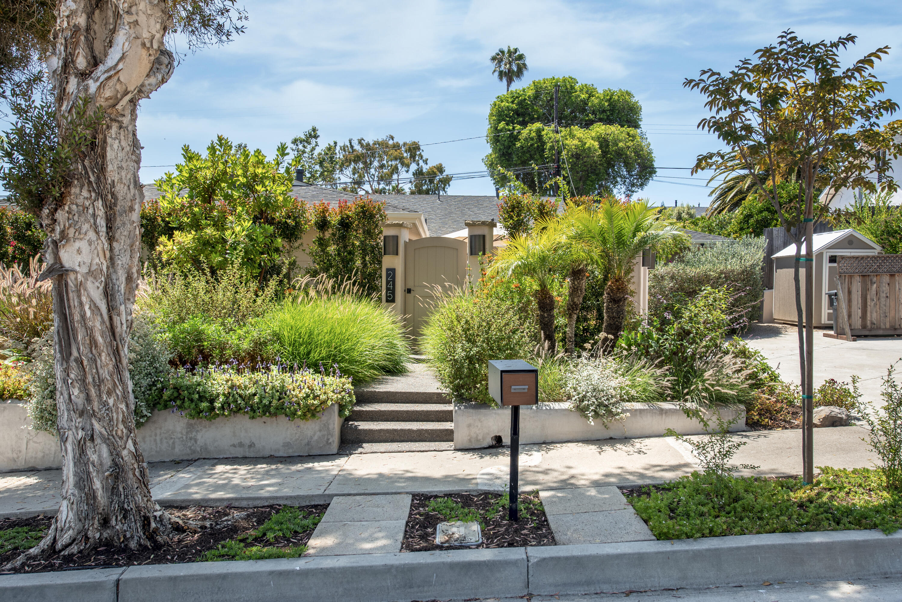 245 Cordova Drive