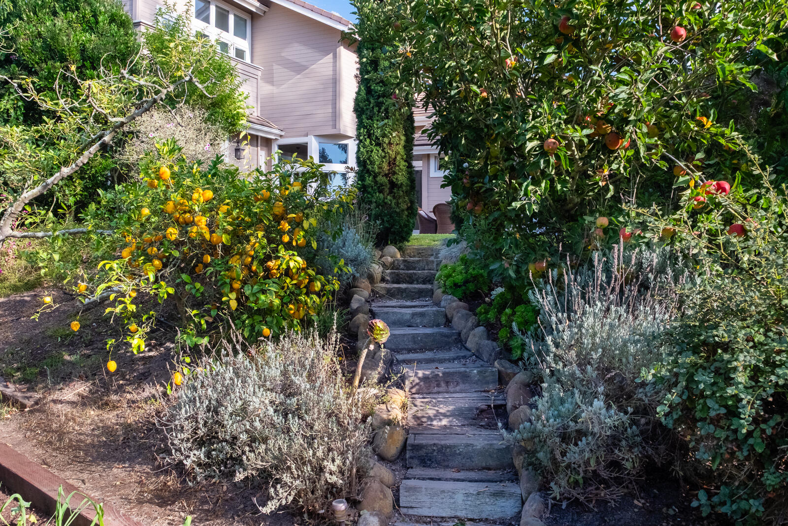 1066 Diamond Crest Court
