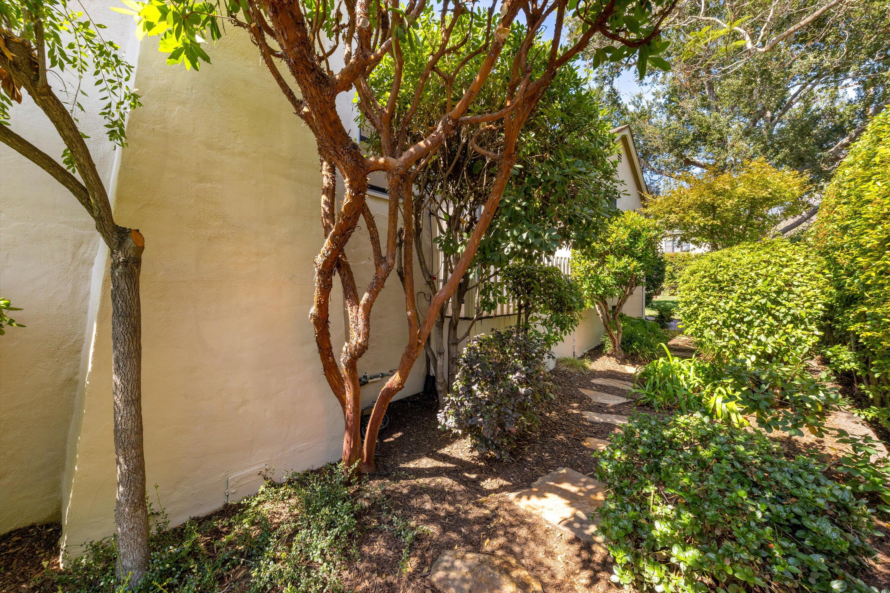 302 N Soledad Street