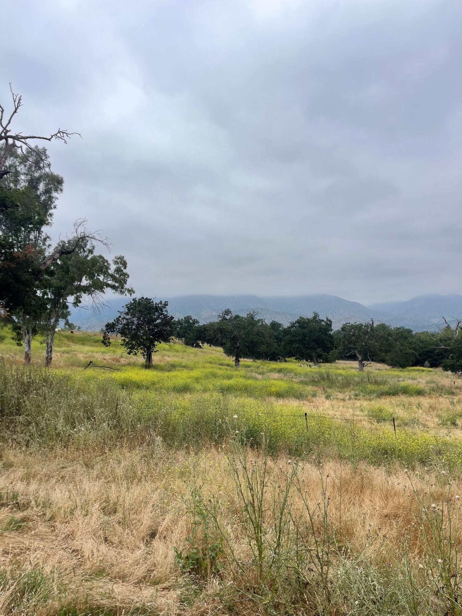 000 Country Club Dr-Ojai Drive