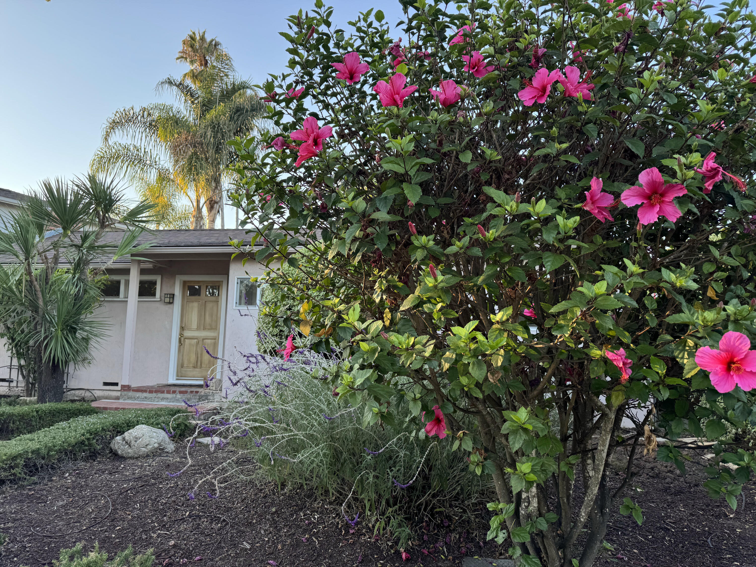 2872 Verde Vista Drive