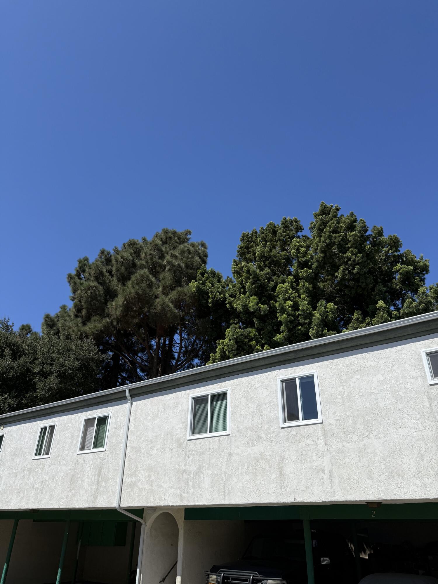 1027 San Andres Street, 4