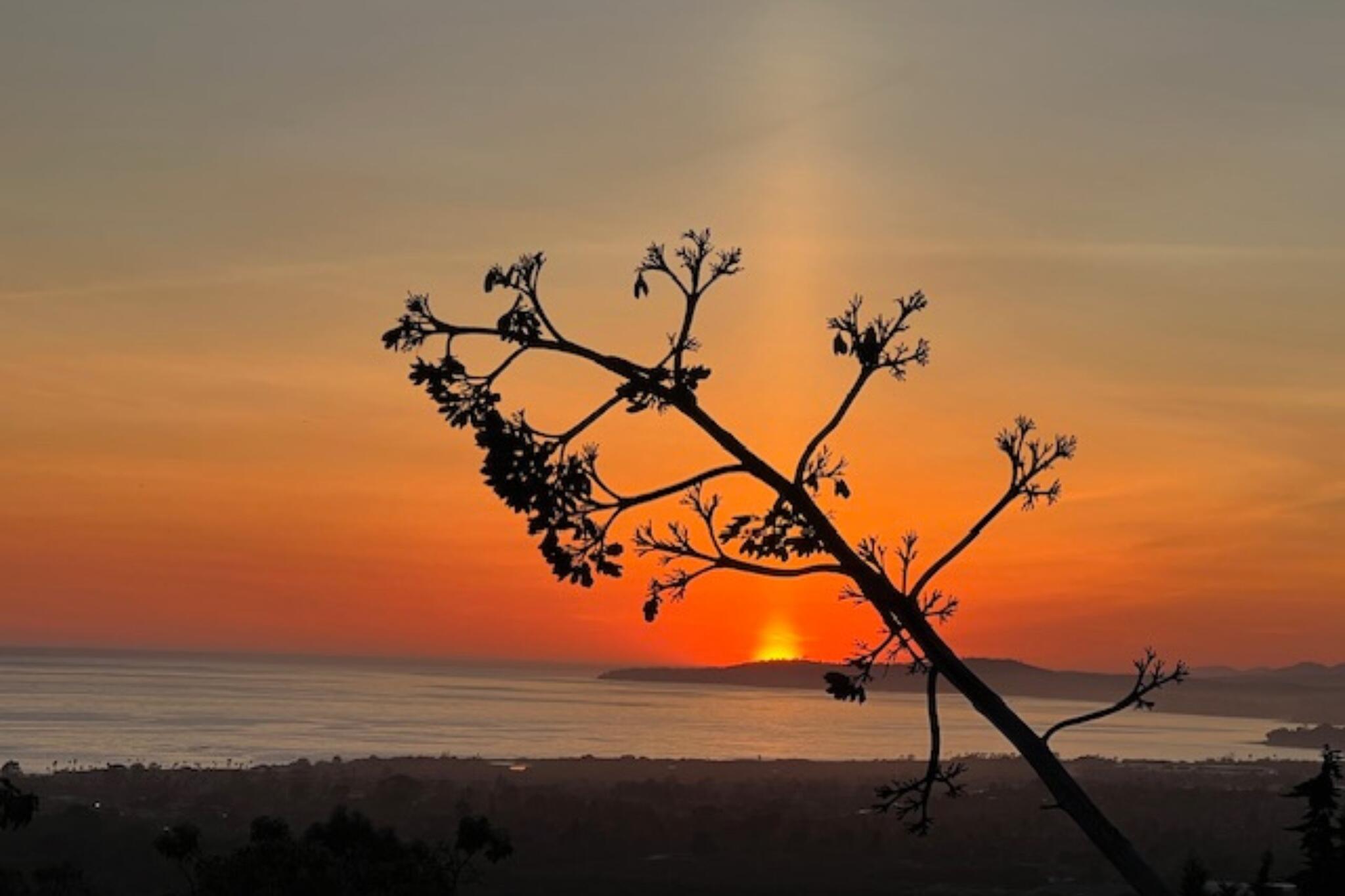 6660 Gobernador Canyon Road