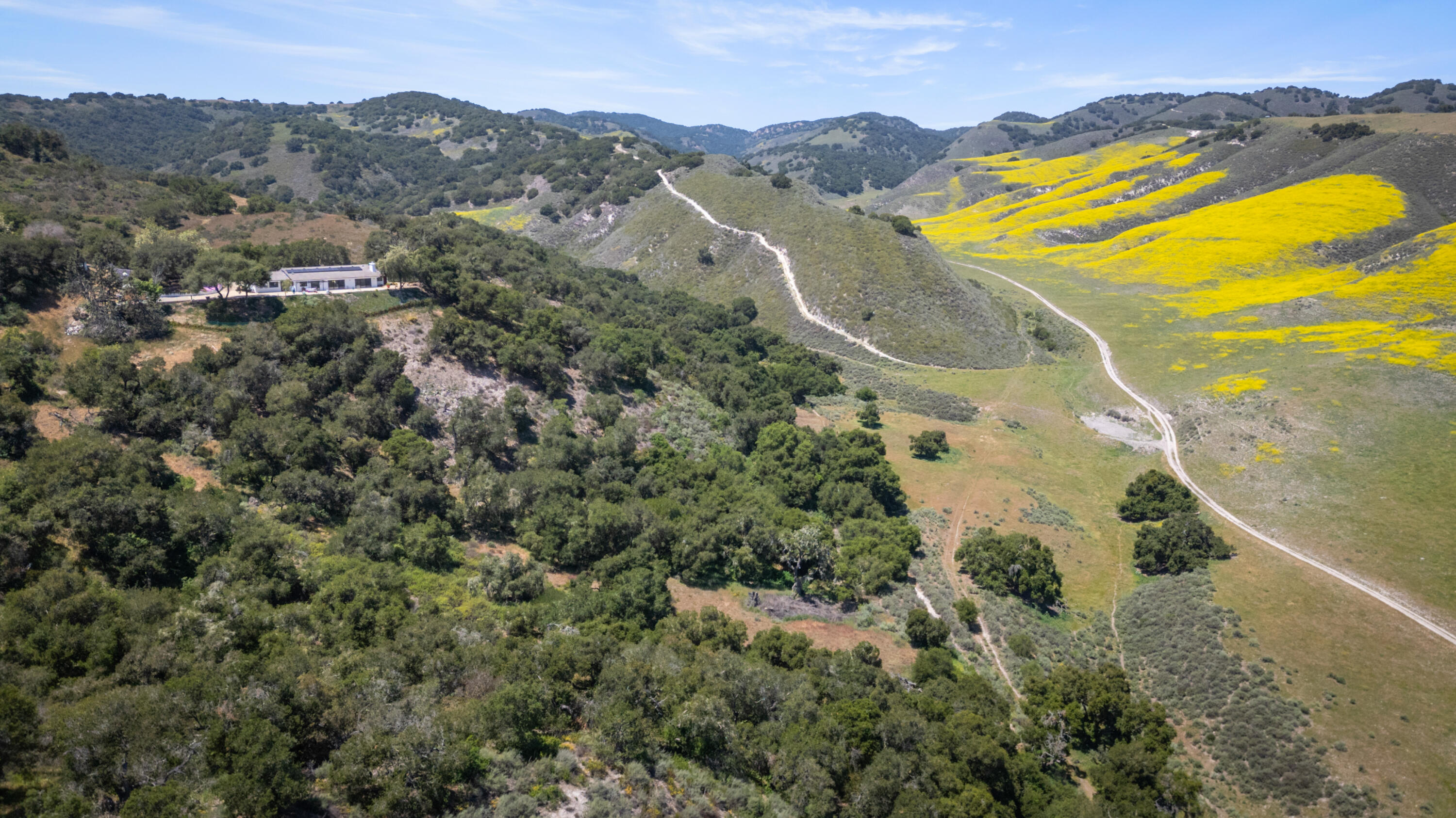 760 Falcon Ridge Lane