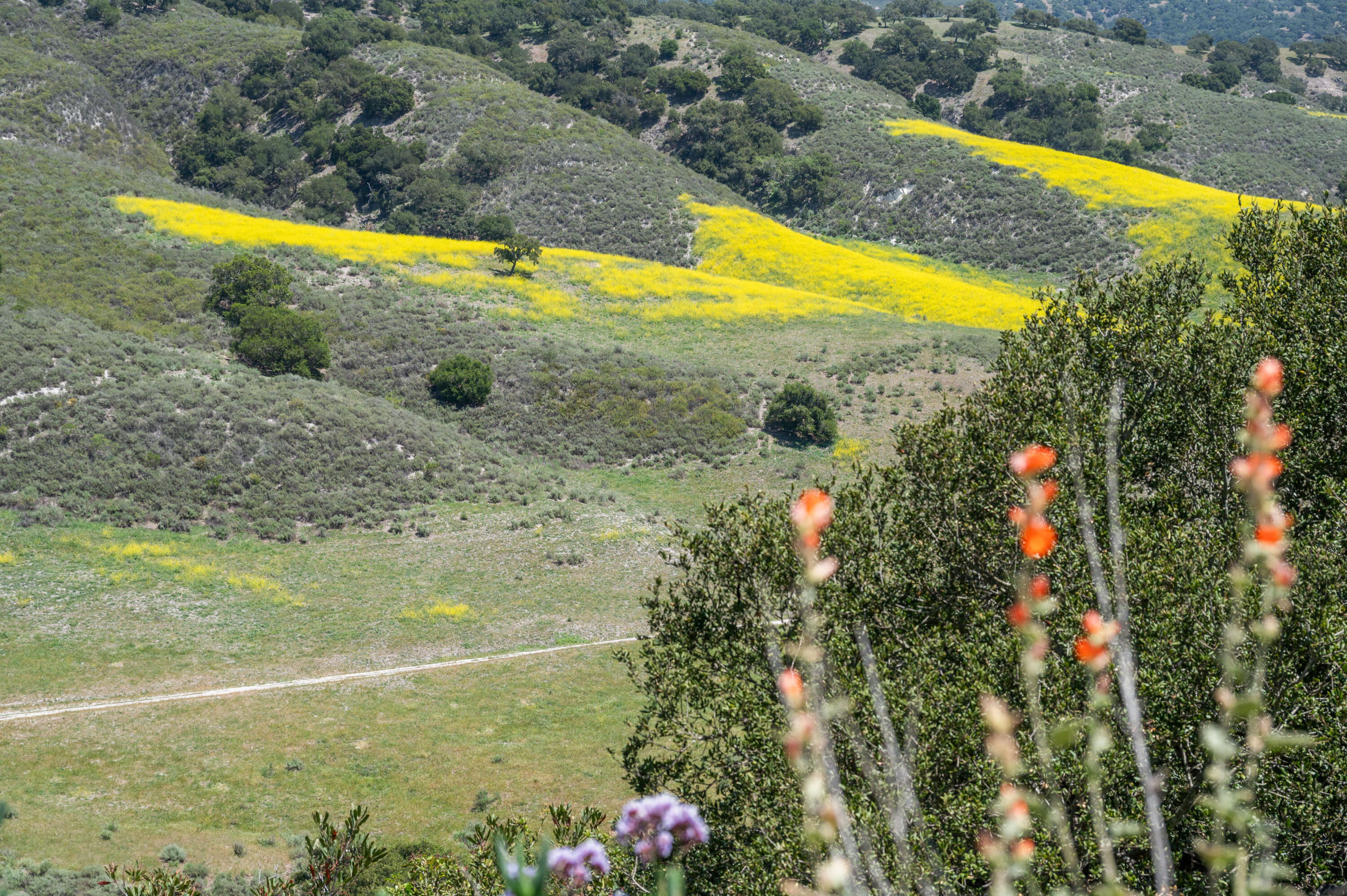 760 Falcon Ridge Lane