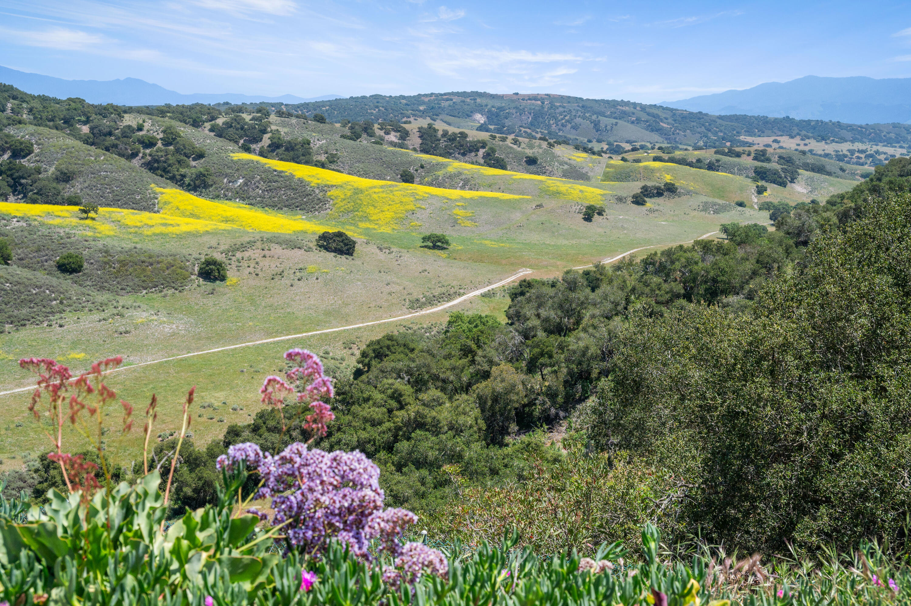 760 Falcon Ridge Lane