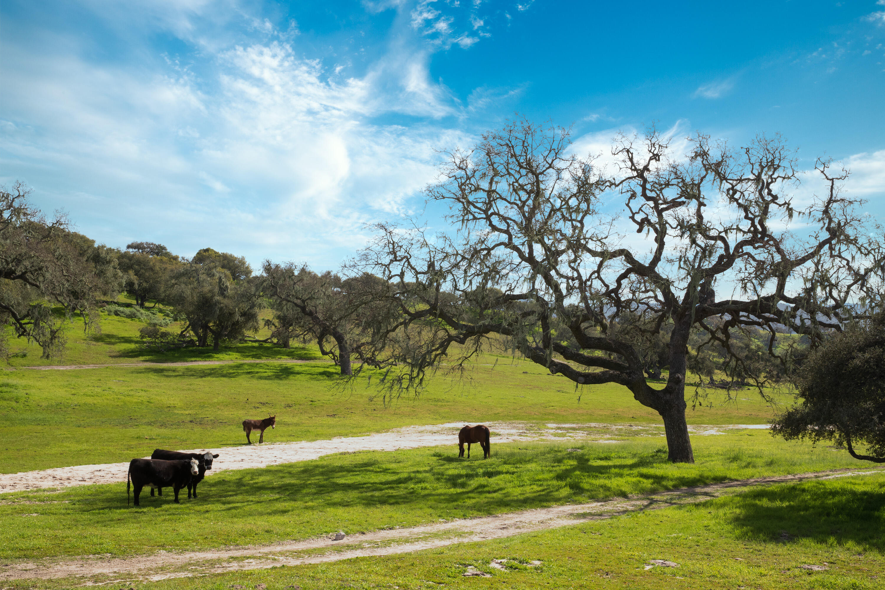 9985 Alisos Canyon Road