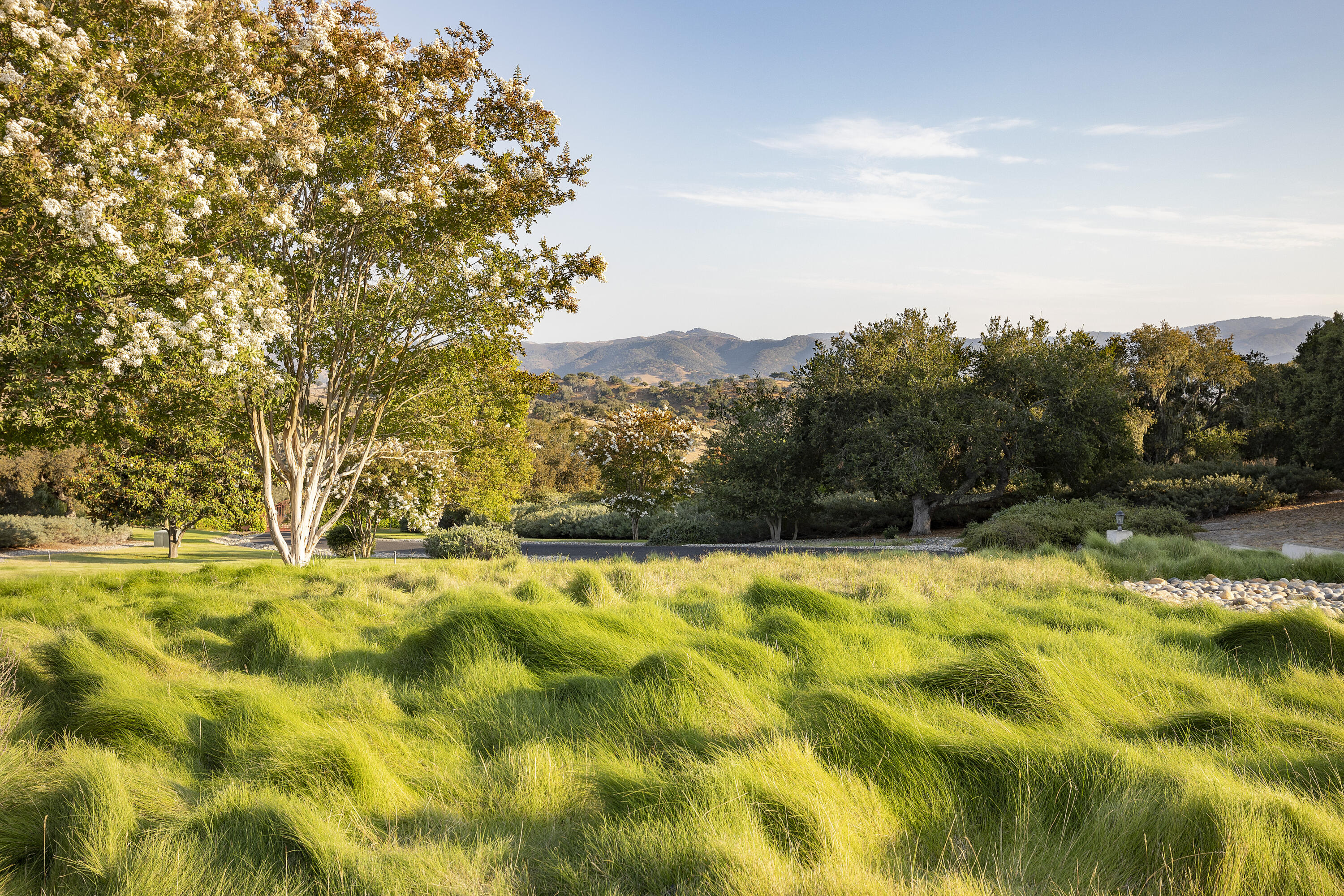 9985 Alisos Canyon Road