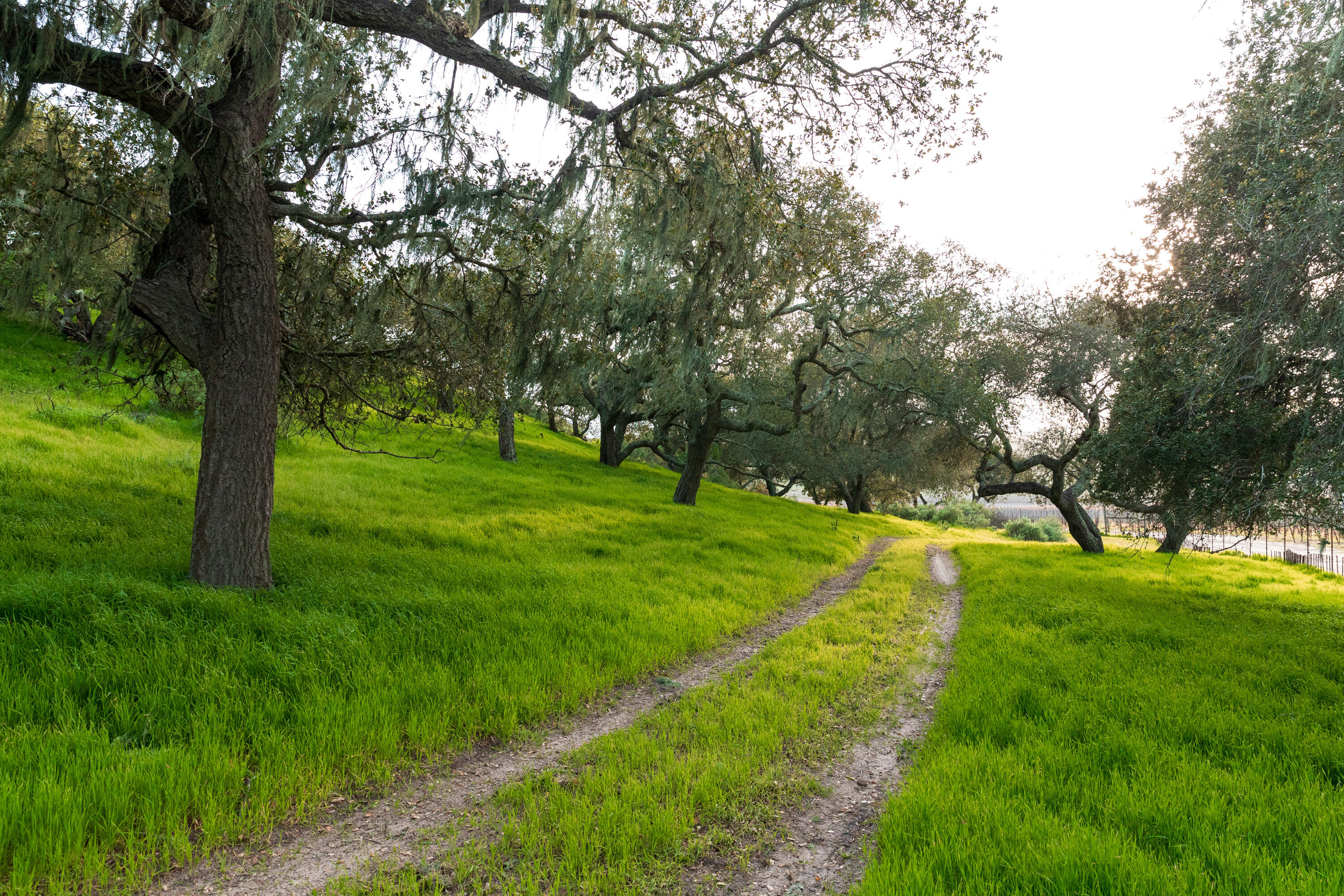 9985 Alisos Canyon Road