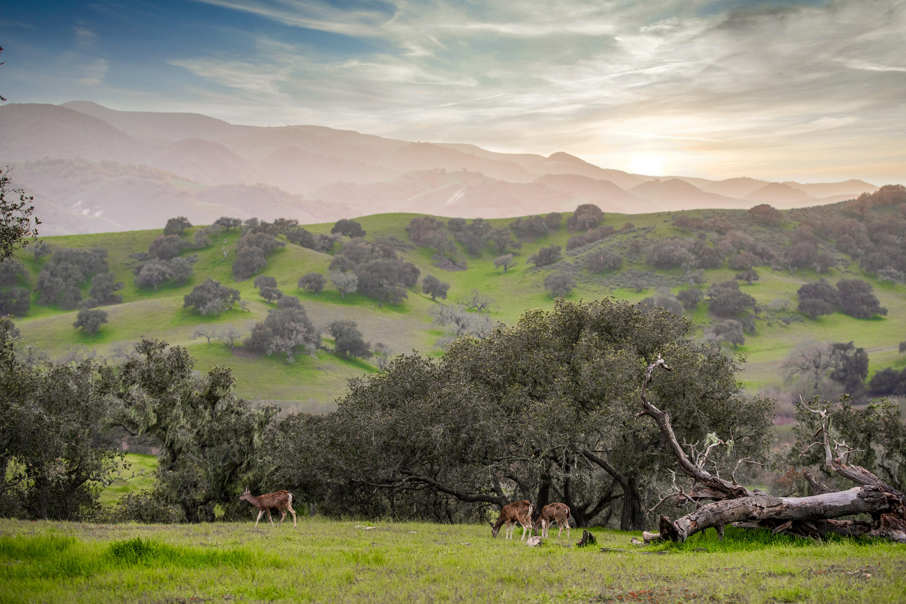 9985 Alisos Canyon Road