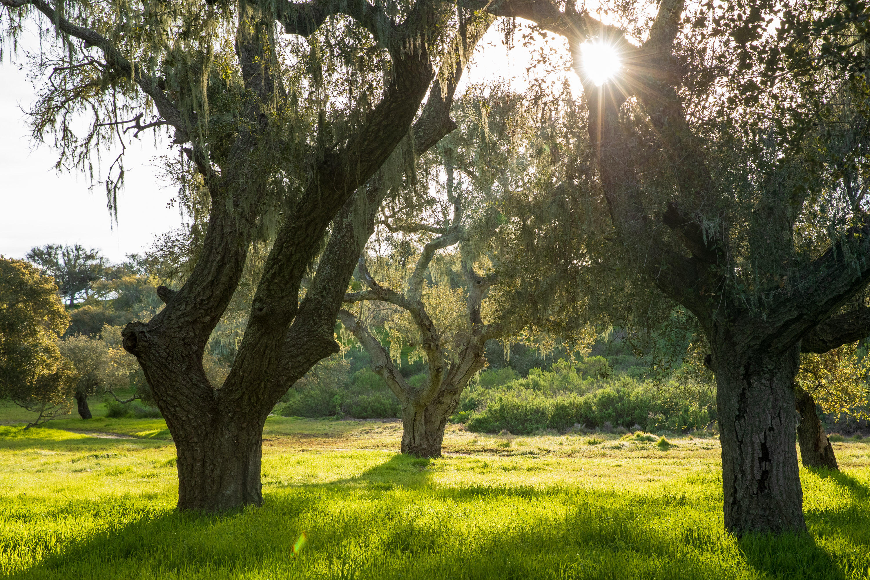 9985 Alisos Canyon Road