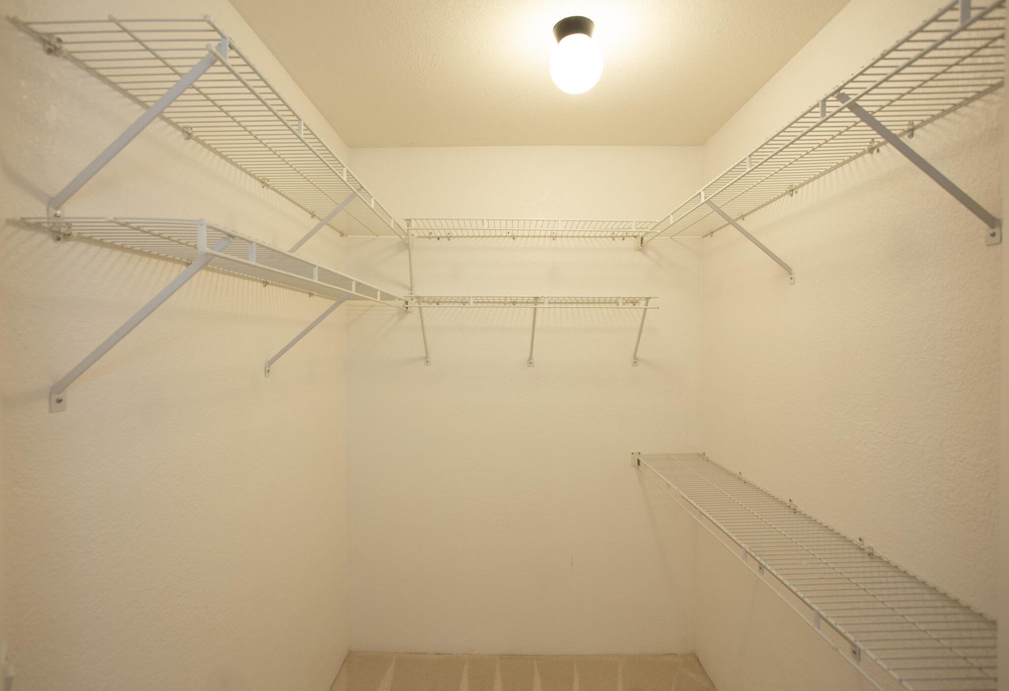 7125 Georgetown Road