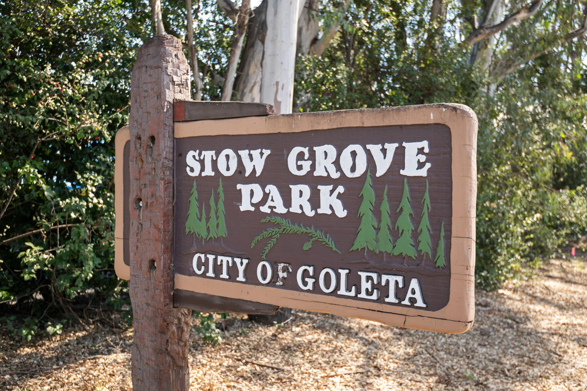 497 Camino Laguna Vista