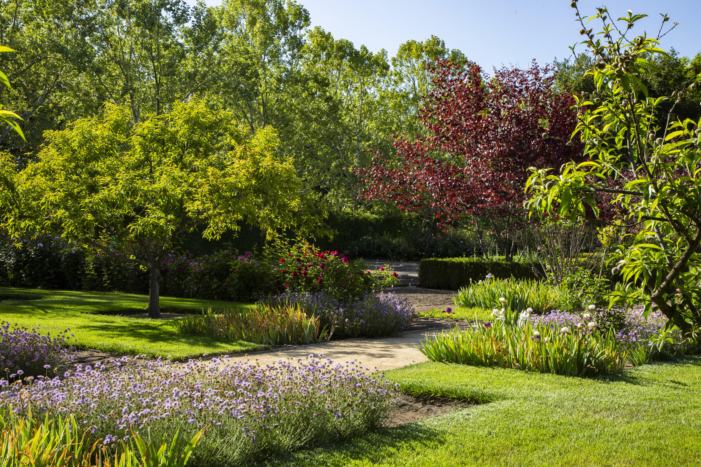 5200 Armour Ranch Road