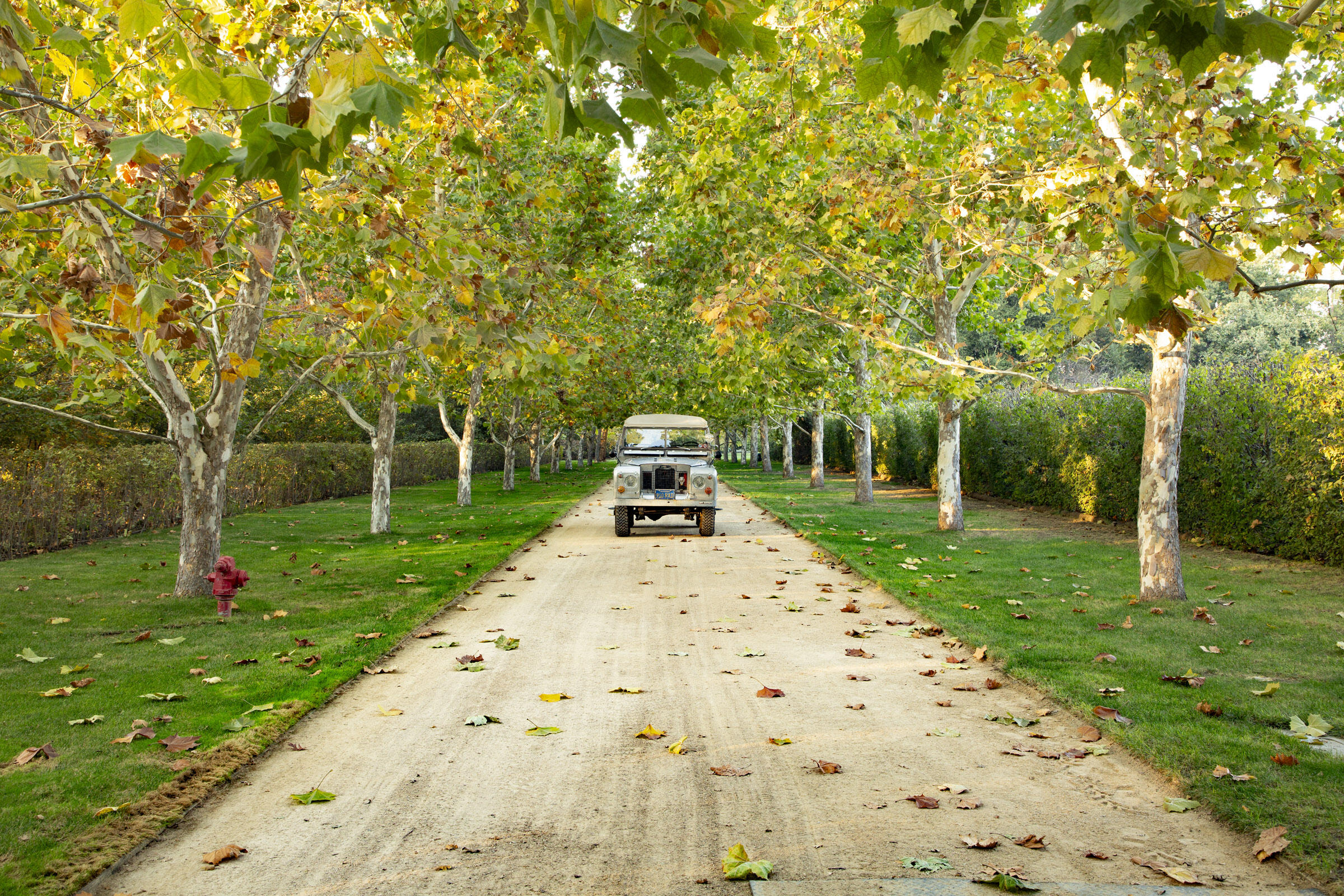 5200 Armour Ranch Road