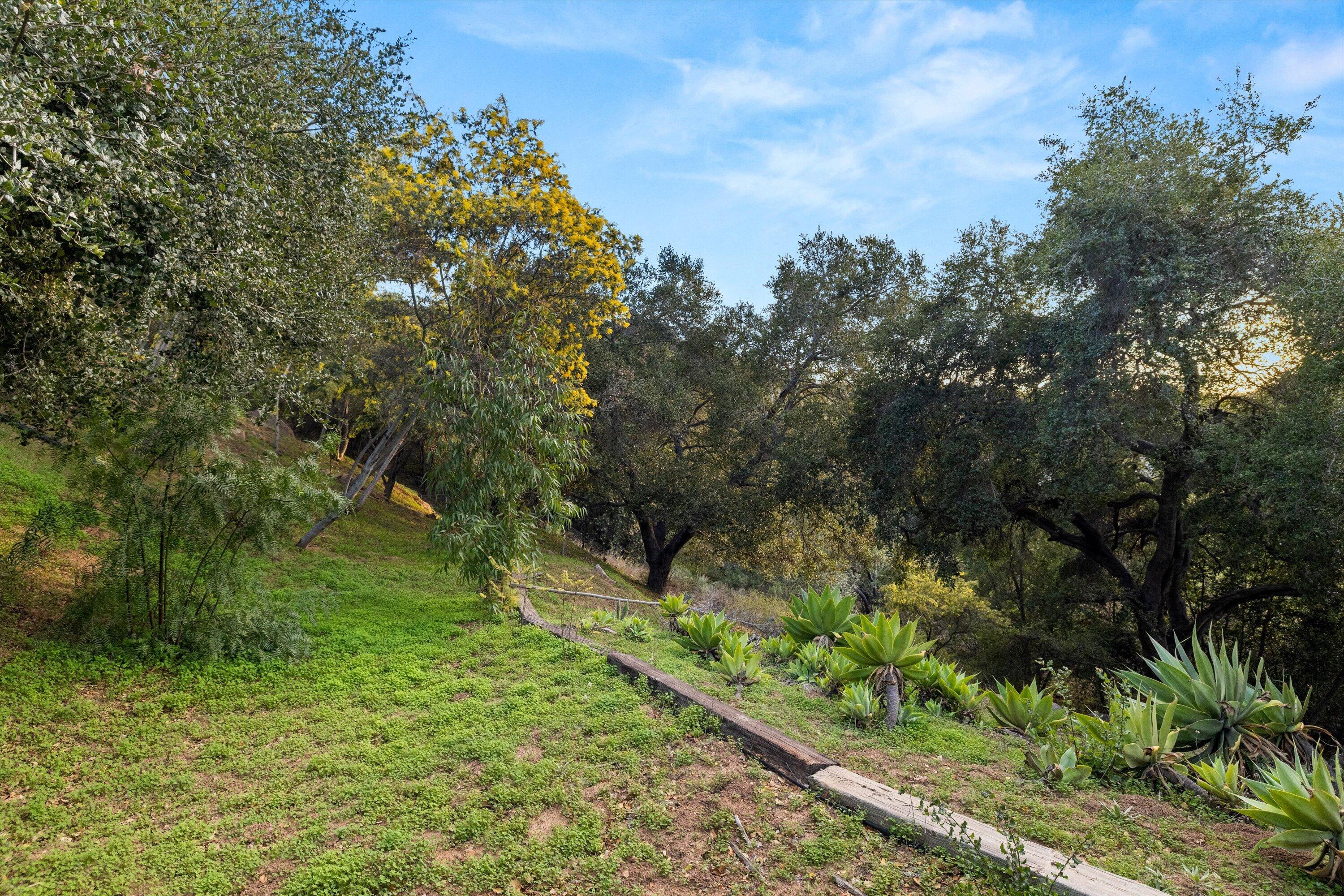 4597 Camino Molinero