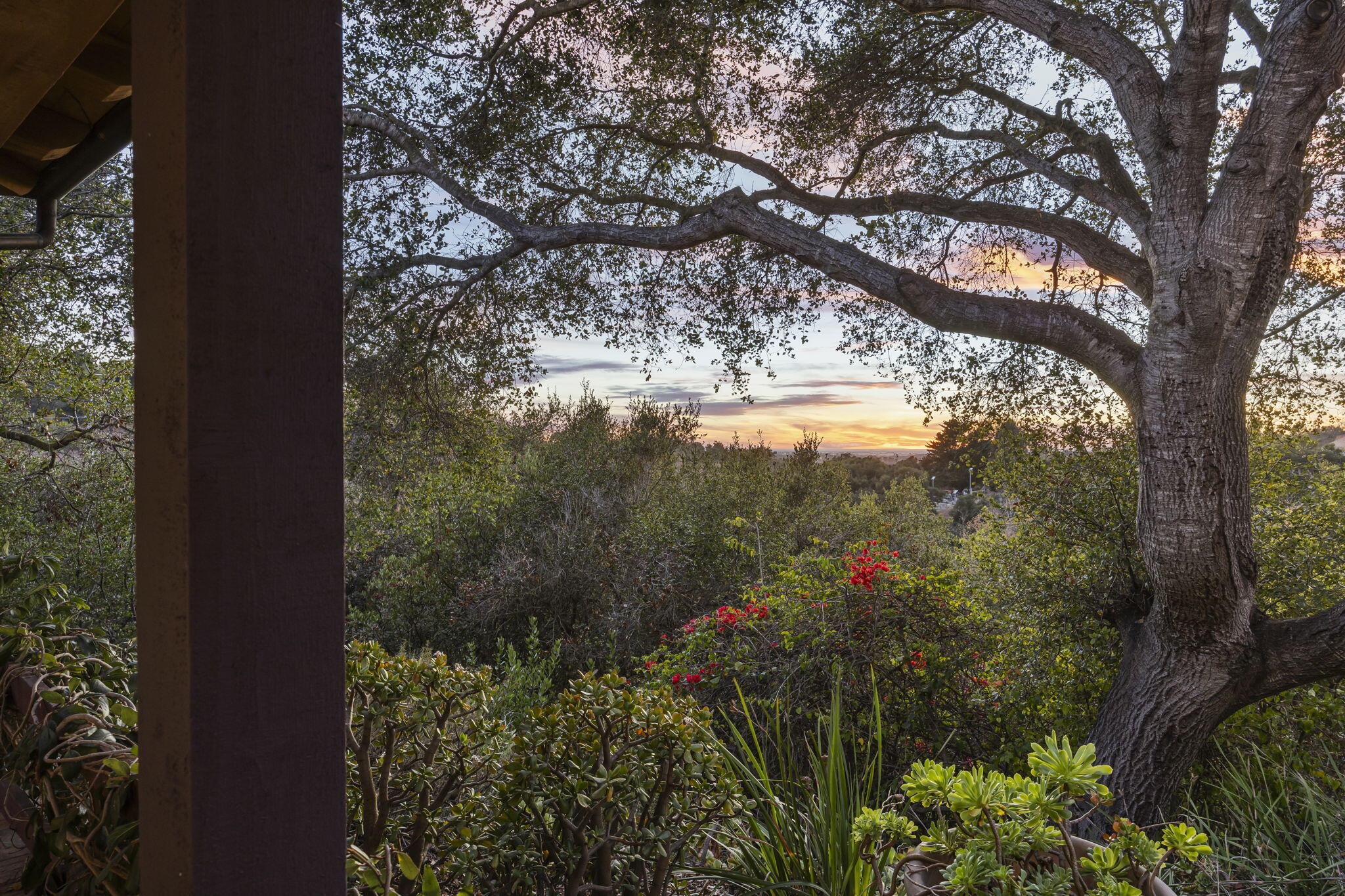 4597 Camino Molinero