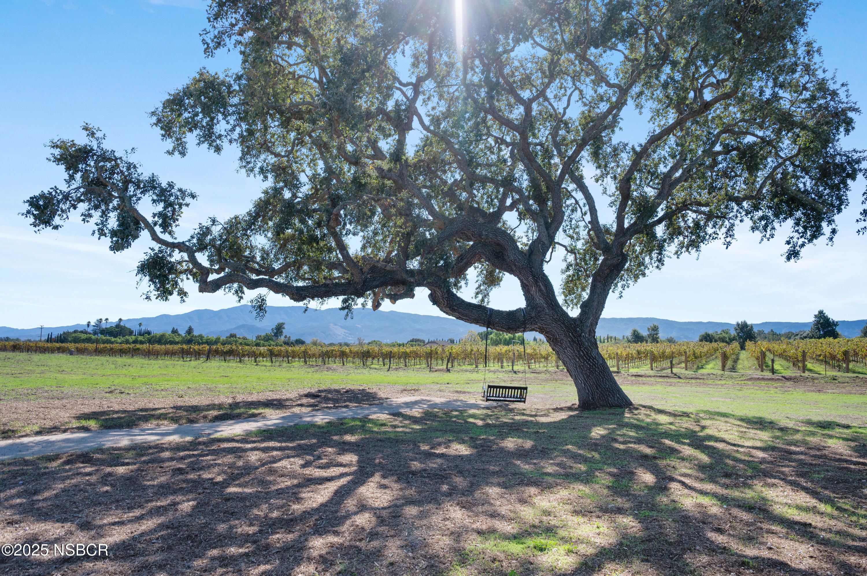 1645 Still Meadow Road