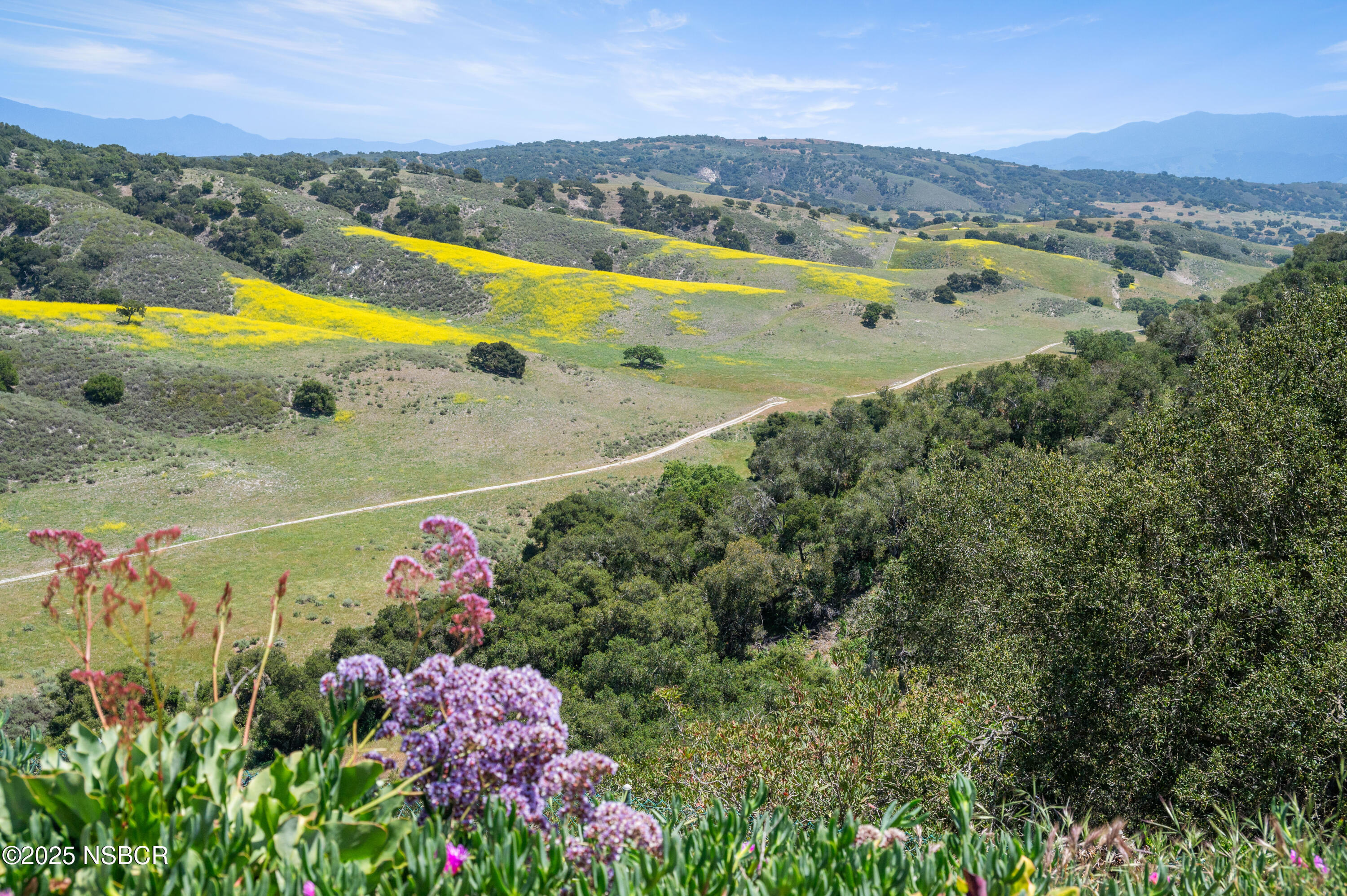 760 Falcon Ridge Lane