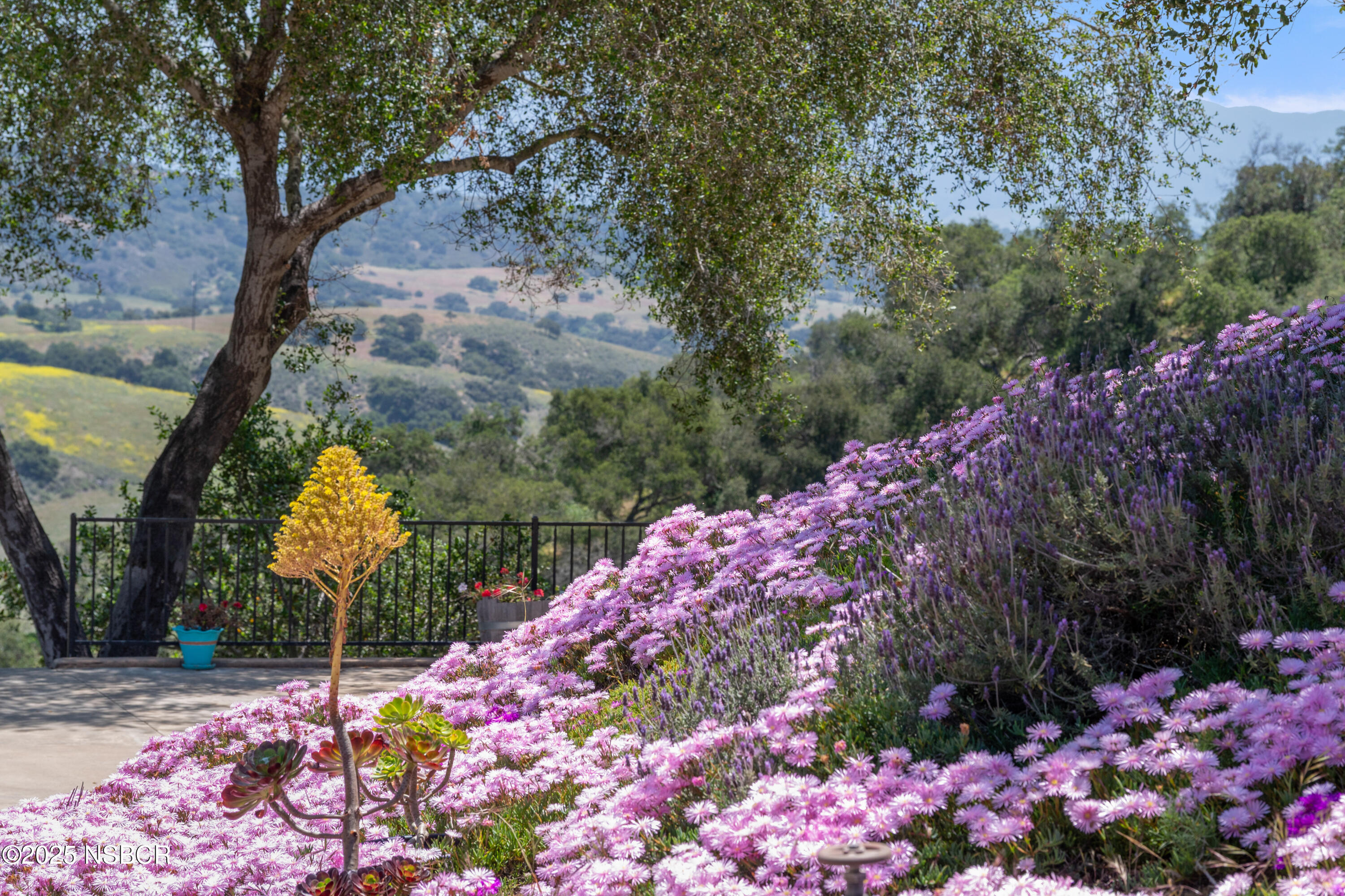 760 Falcon Ridge Lane